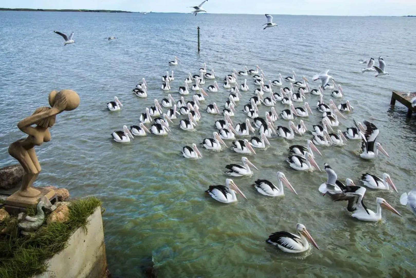 Meningie's Waterfront Motel