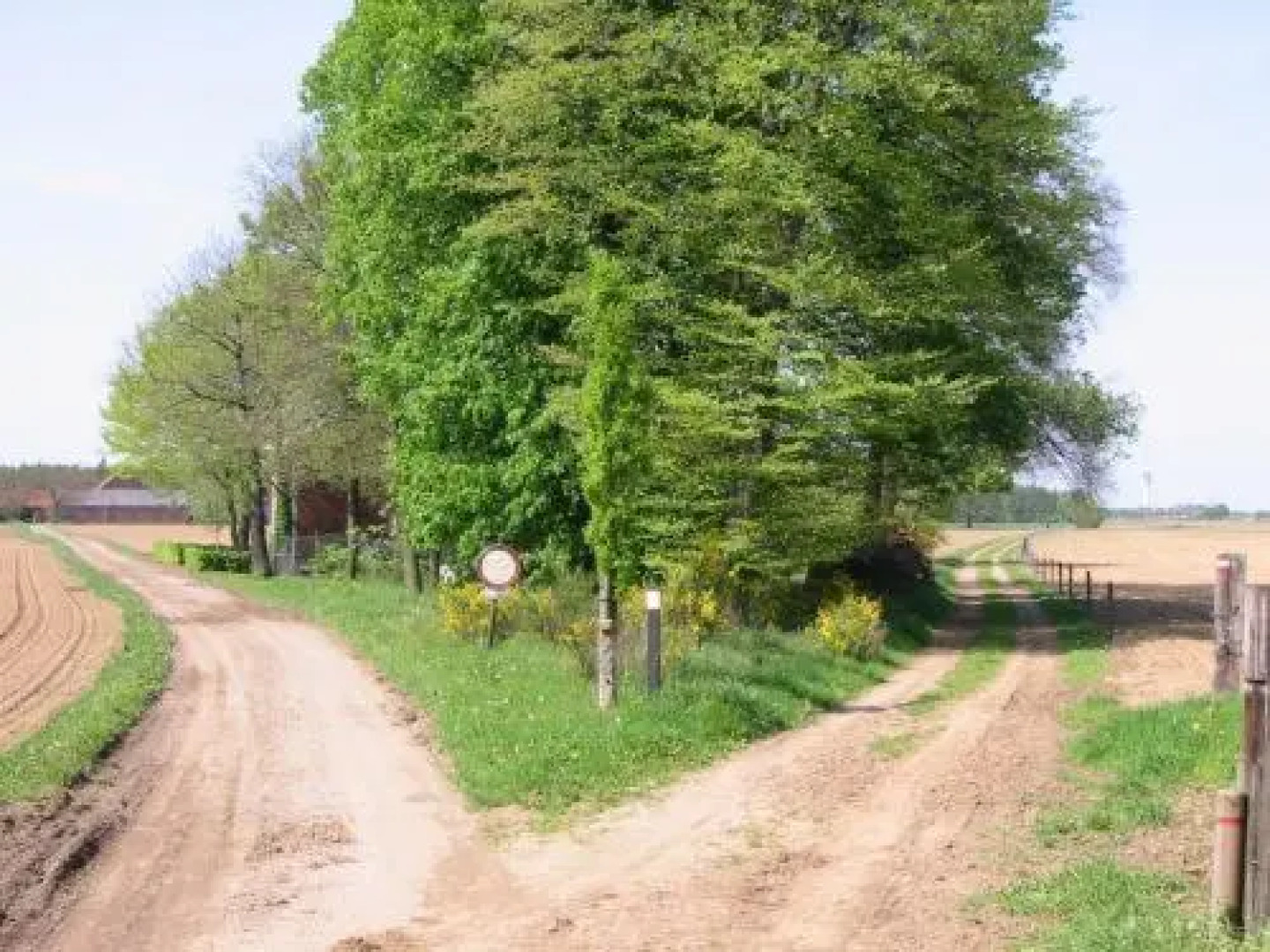 Bed & Breakfast BergOpwaerts