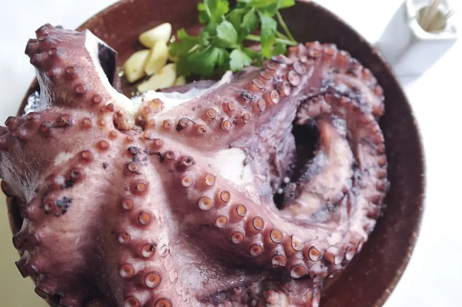 Hotel Rural El Recreo