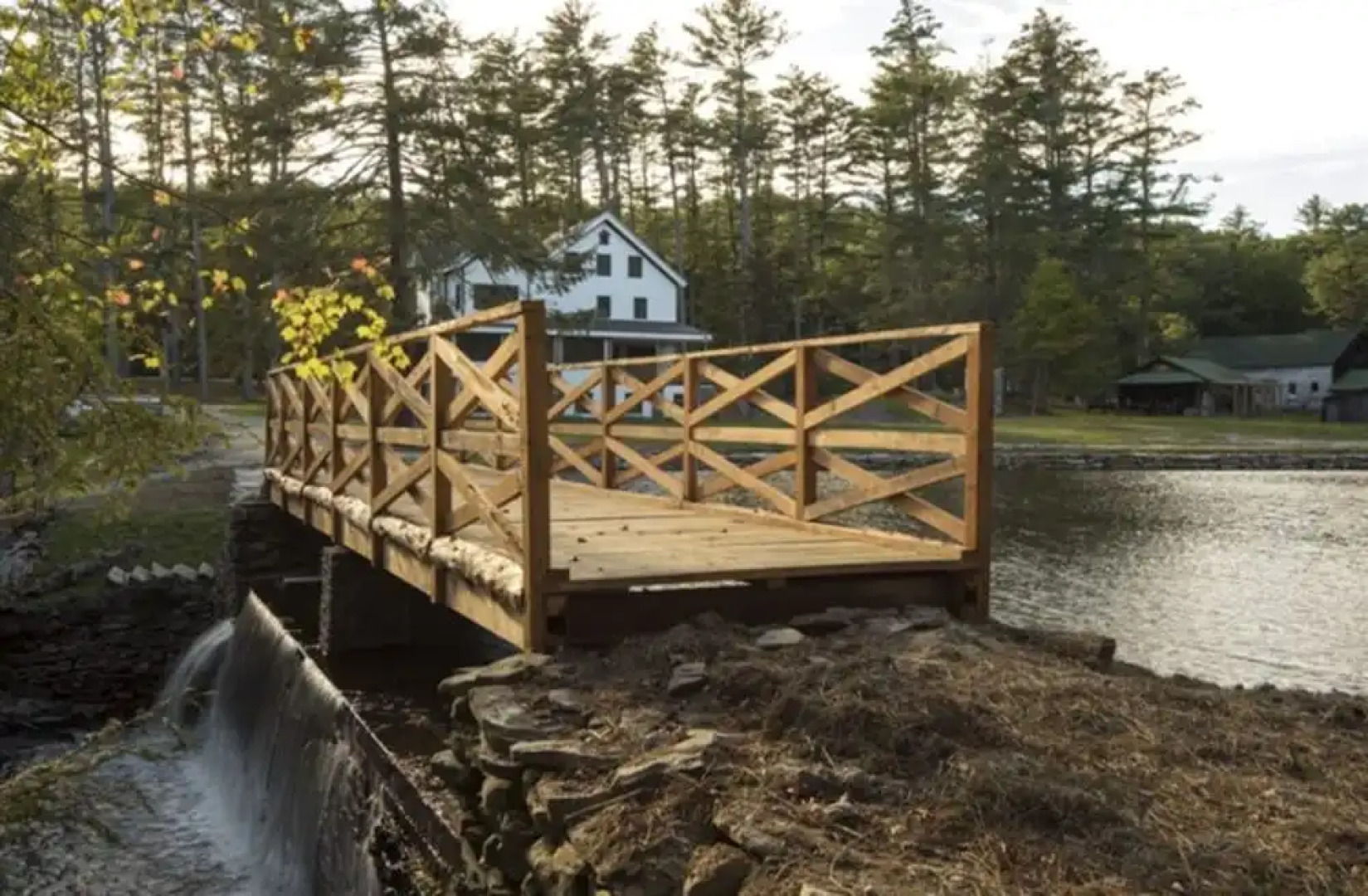 The Cottage in the Pines