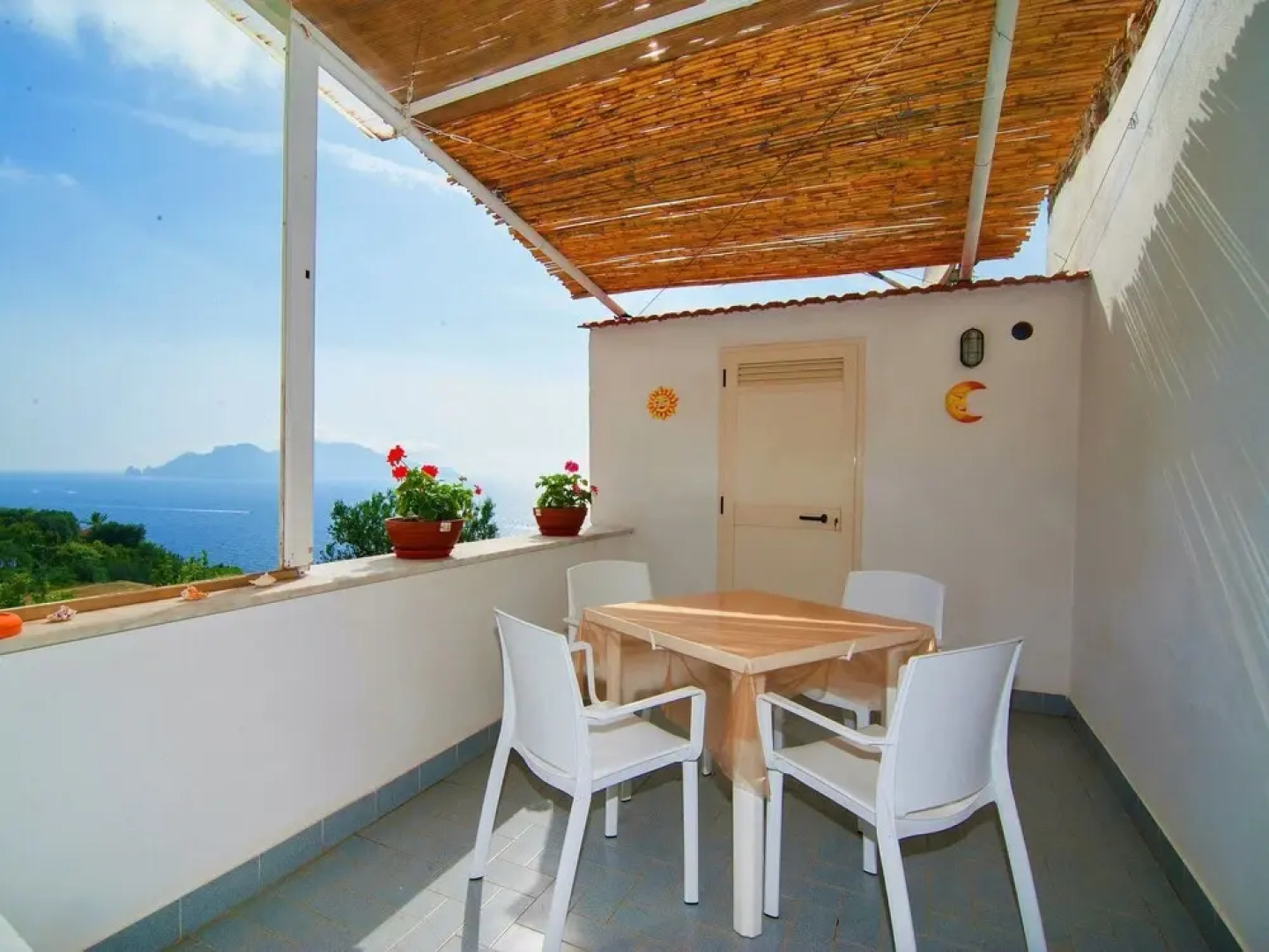 Secular Tree Massa Lubrense