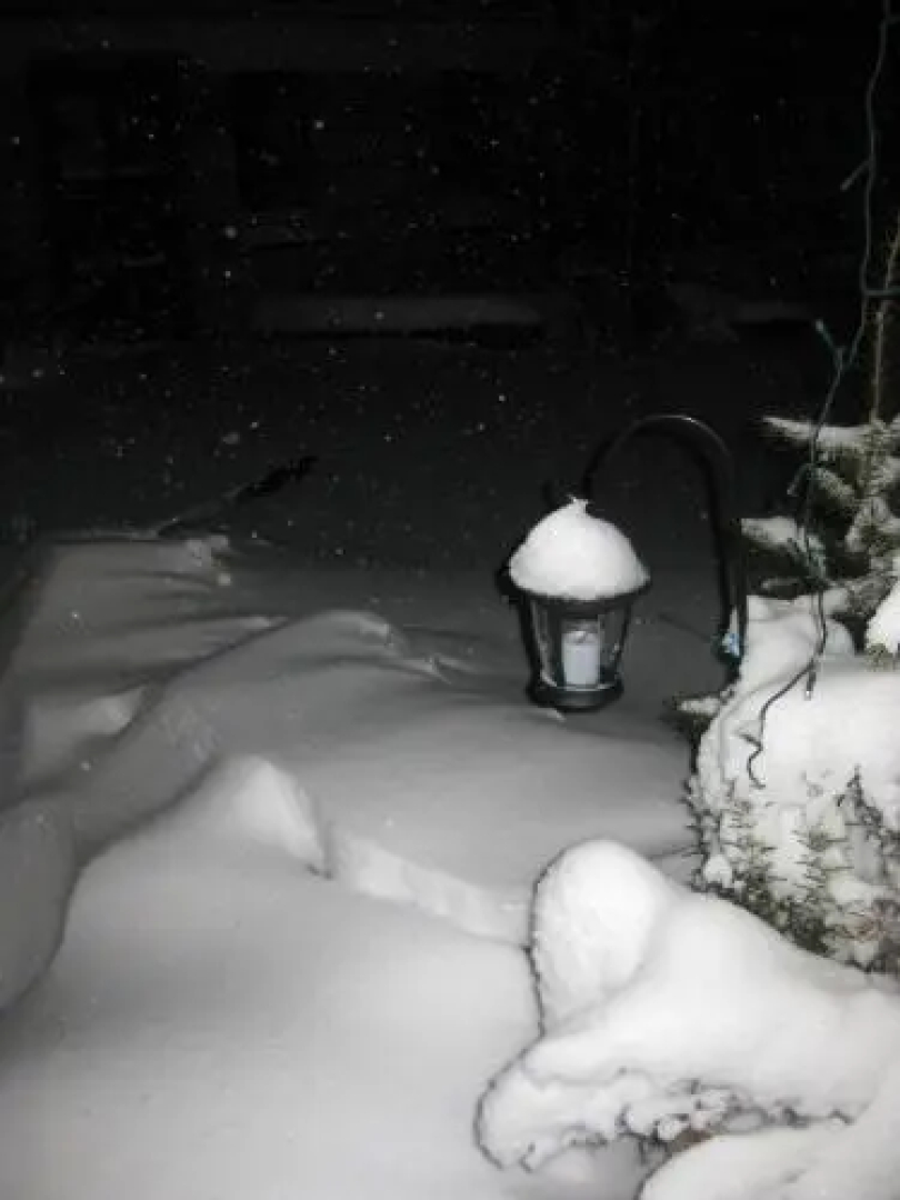 No.5 - Ferienwohnung Schkade