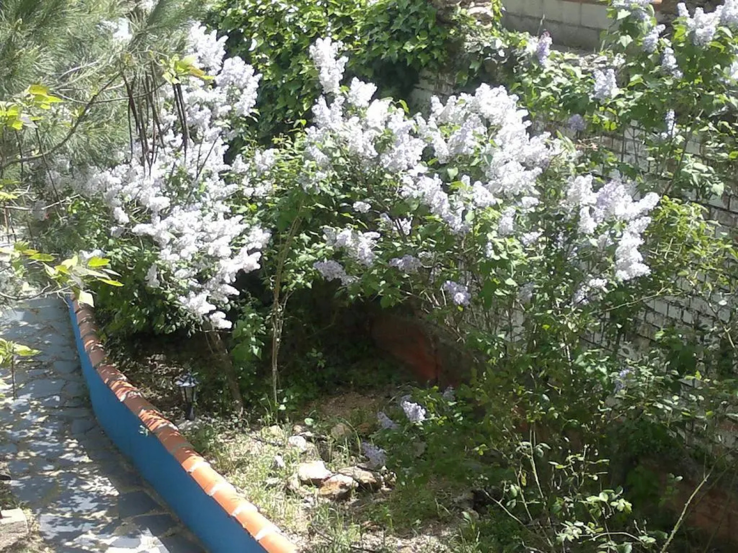 El Cercado de Arriba