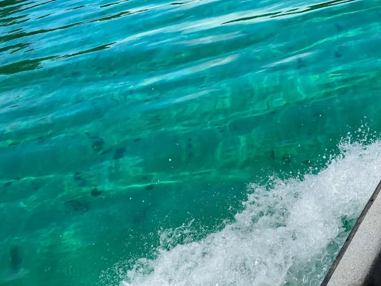 Hotel Caribbean View