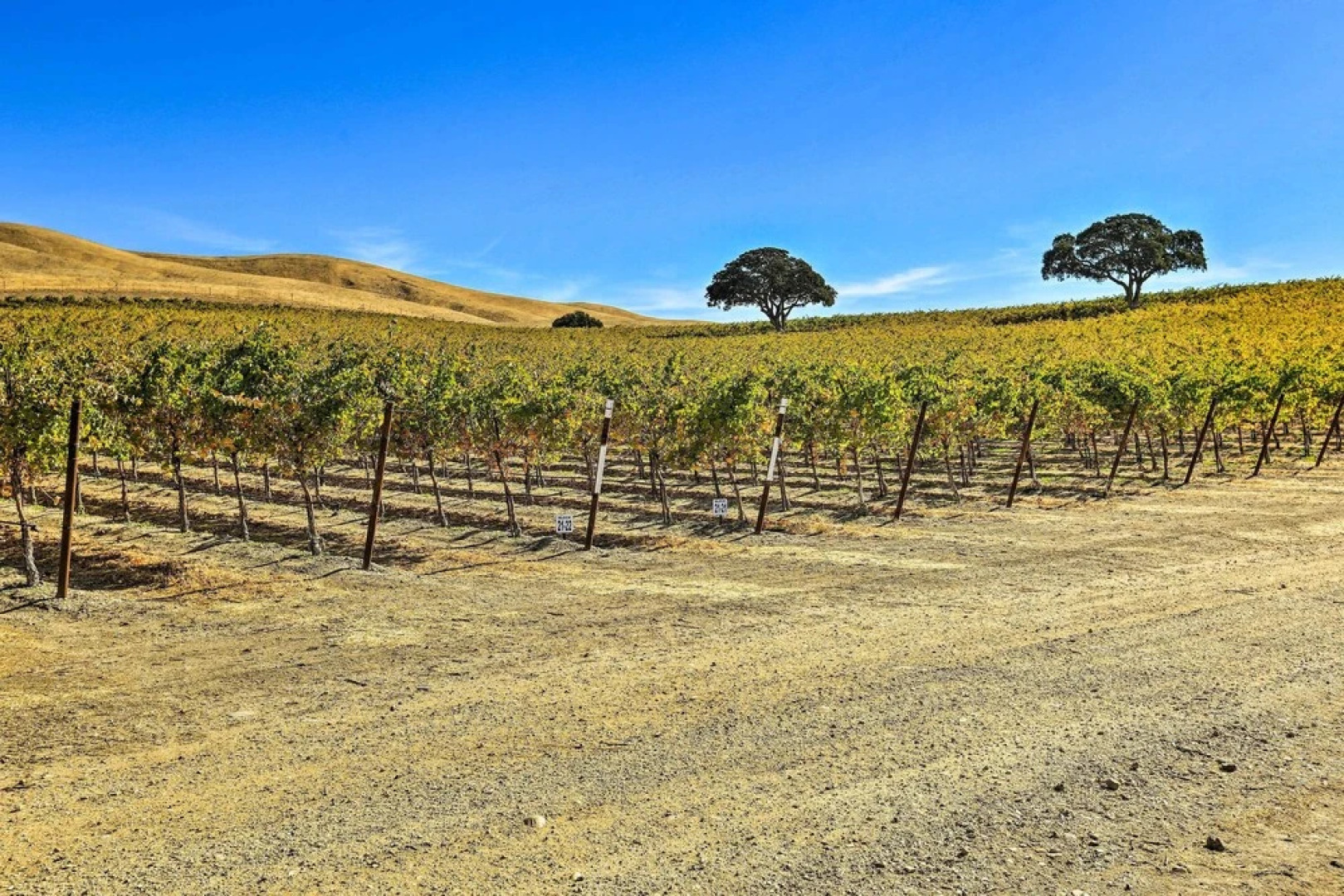 Pleasant Valley Wine Trail Home - Near Paso Robles