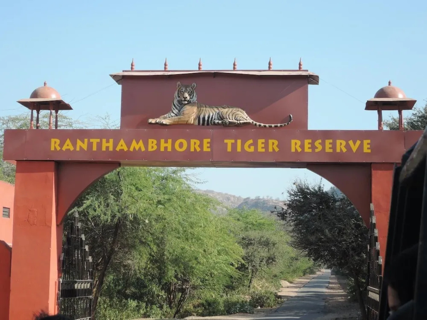 Ranthambore jungle cave