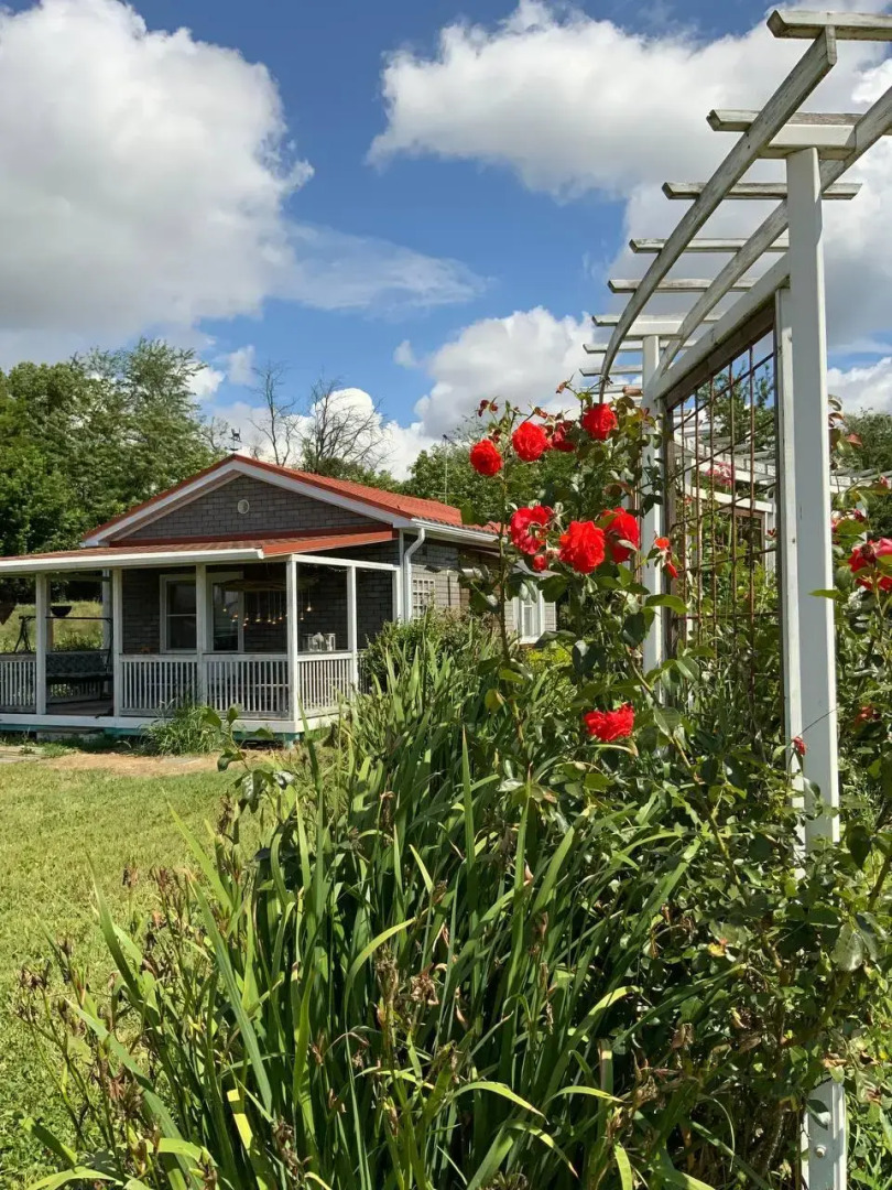 Творческий глэмпинг Скворечник