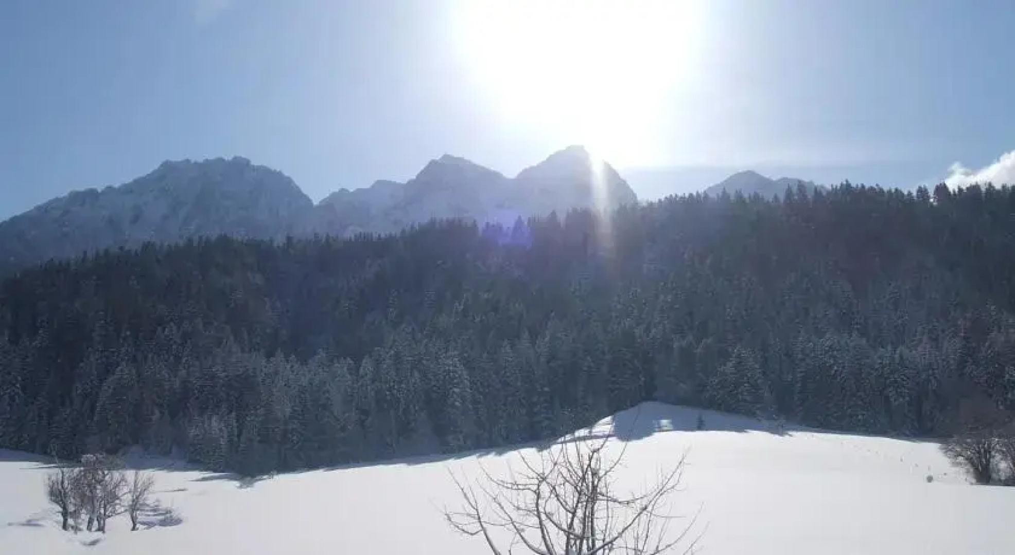 Bauernhof Großwolfing