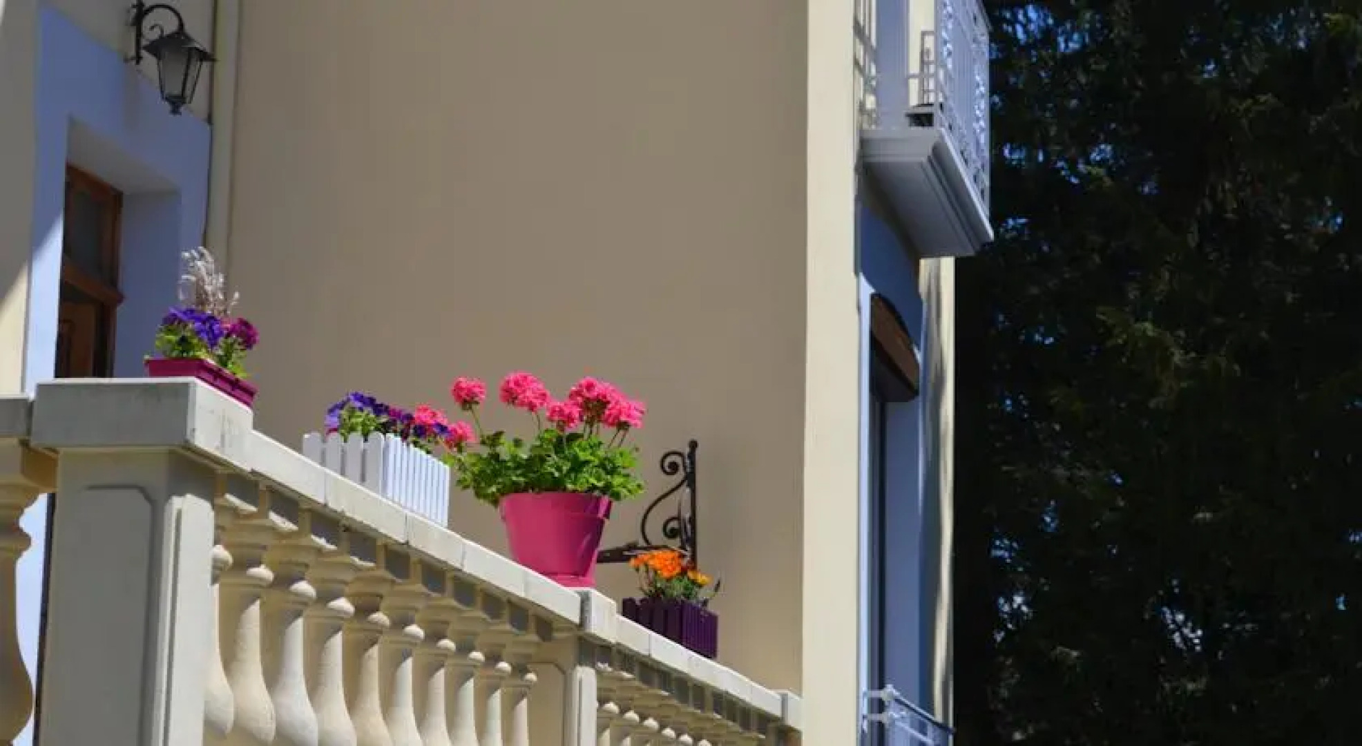 Les Trois Chardons Bleus