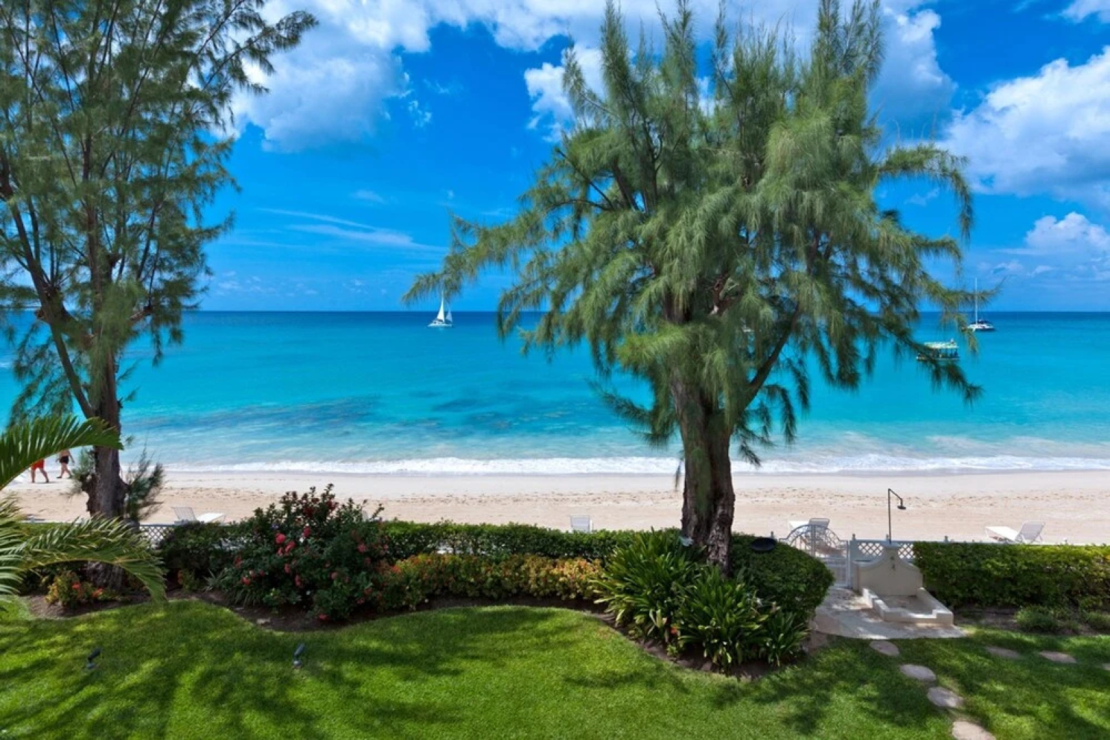Old Trees 7 - Bella Vista by Blue Sky Luxury