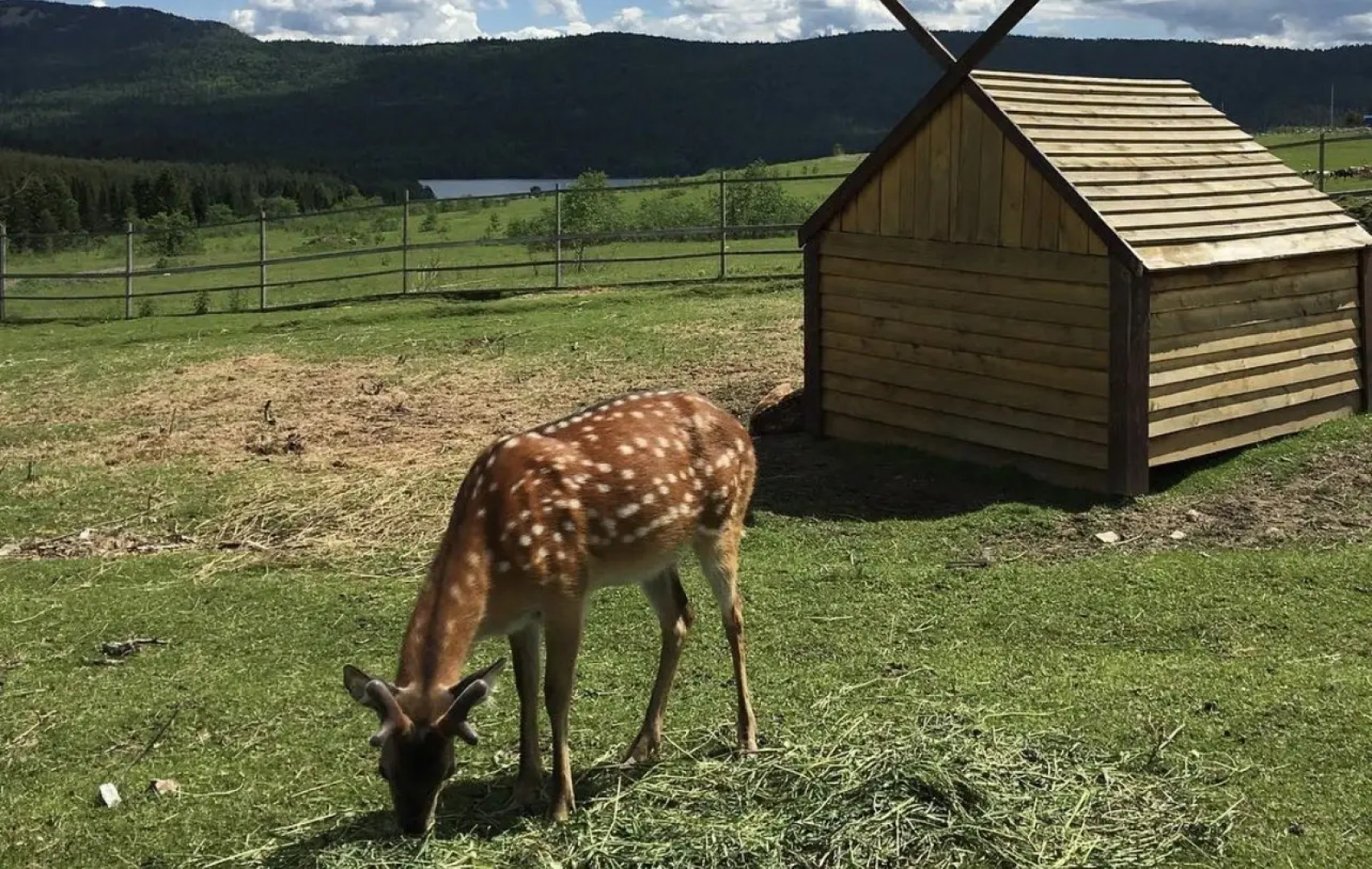 Таганай Термал