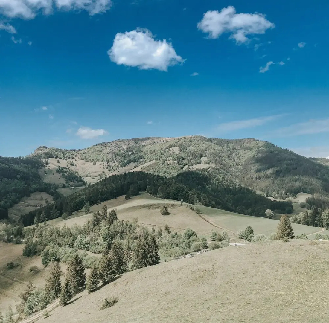 Lieblingsort Schwarzwald Chalets