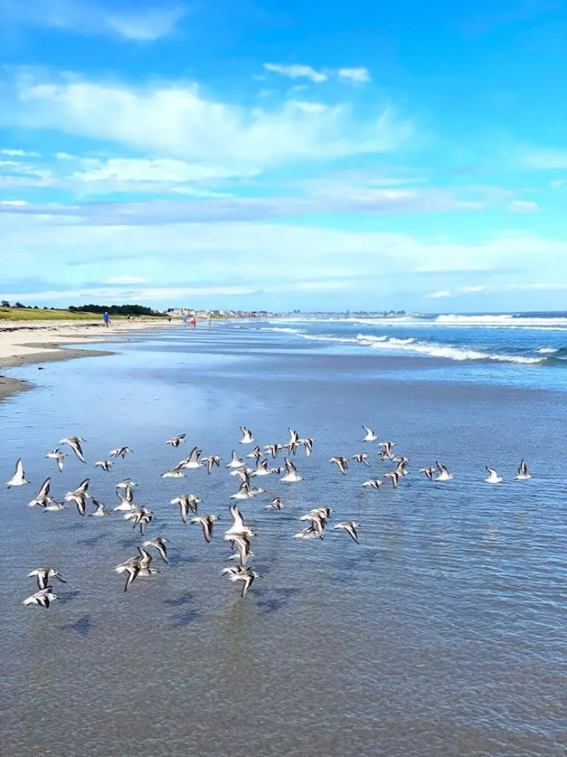 Bourne's Ocean Acres Motel