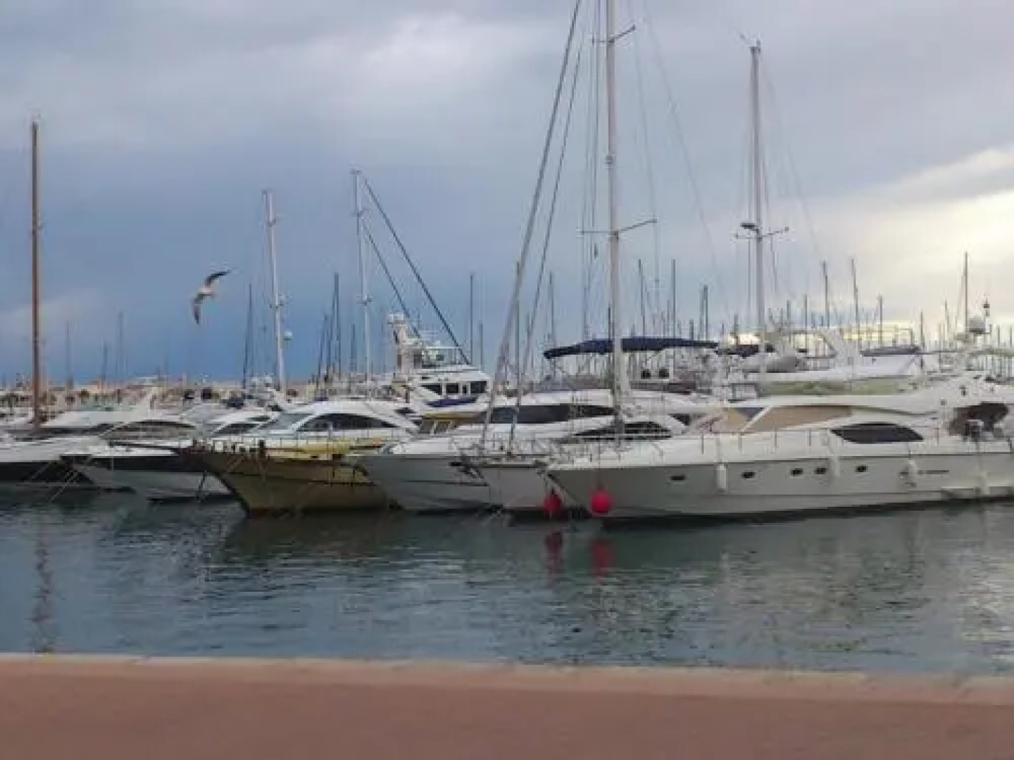 Arenales del Sol