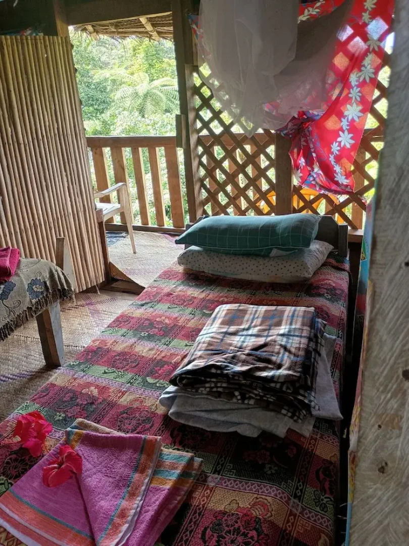 Glowing view tree house and Bangalow