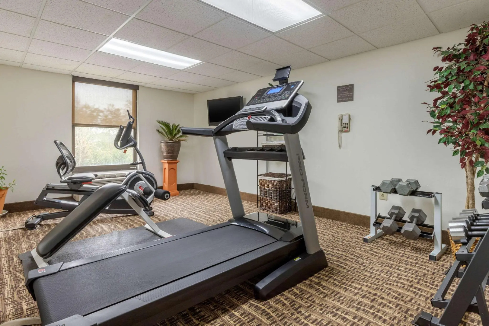 Comfort Inn Asheville Airport