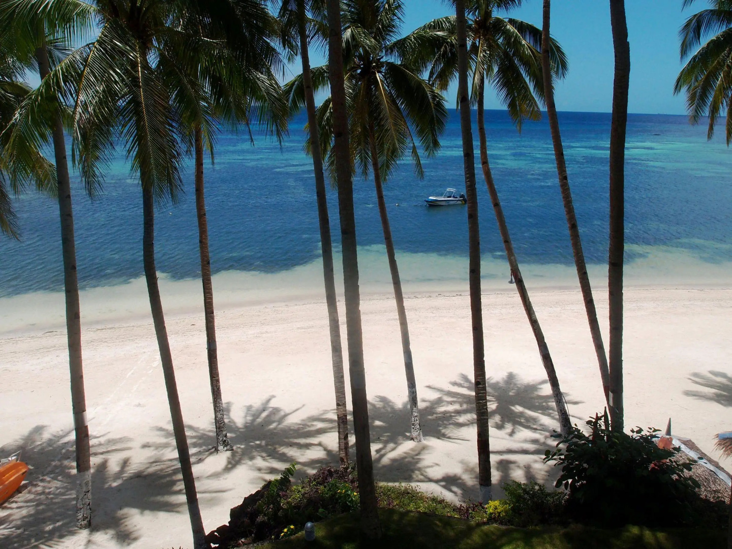 Anda White Beach Resort