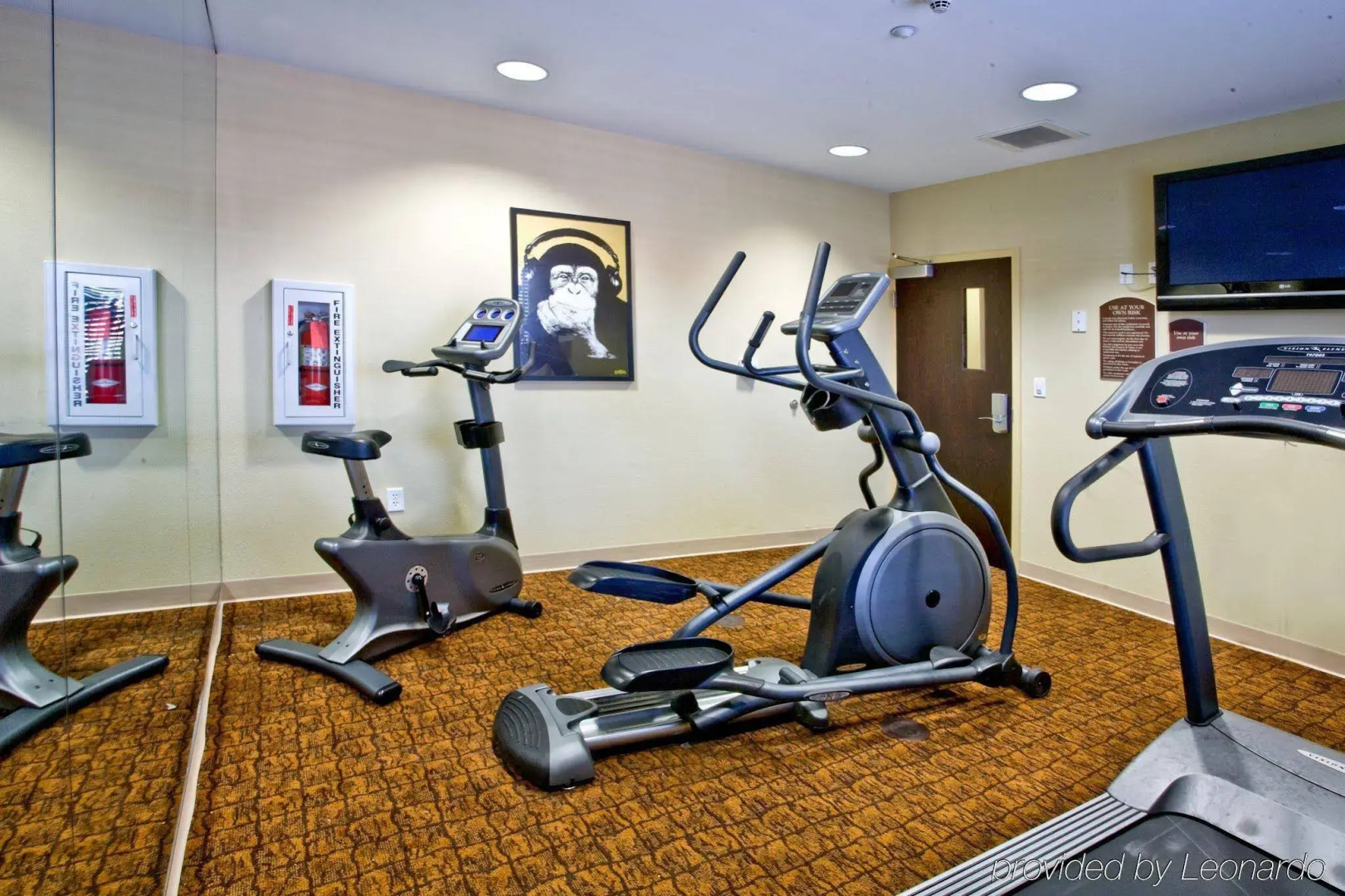 Holiday Inn Express & Suites Tampa USF Busch Gardens by IHG