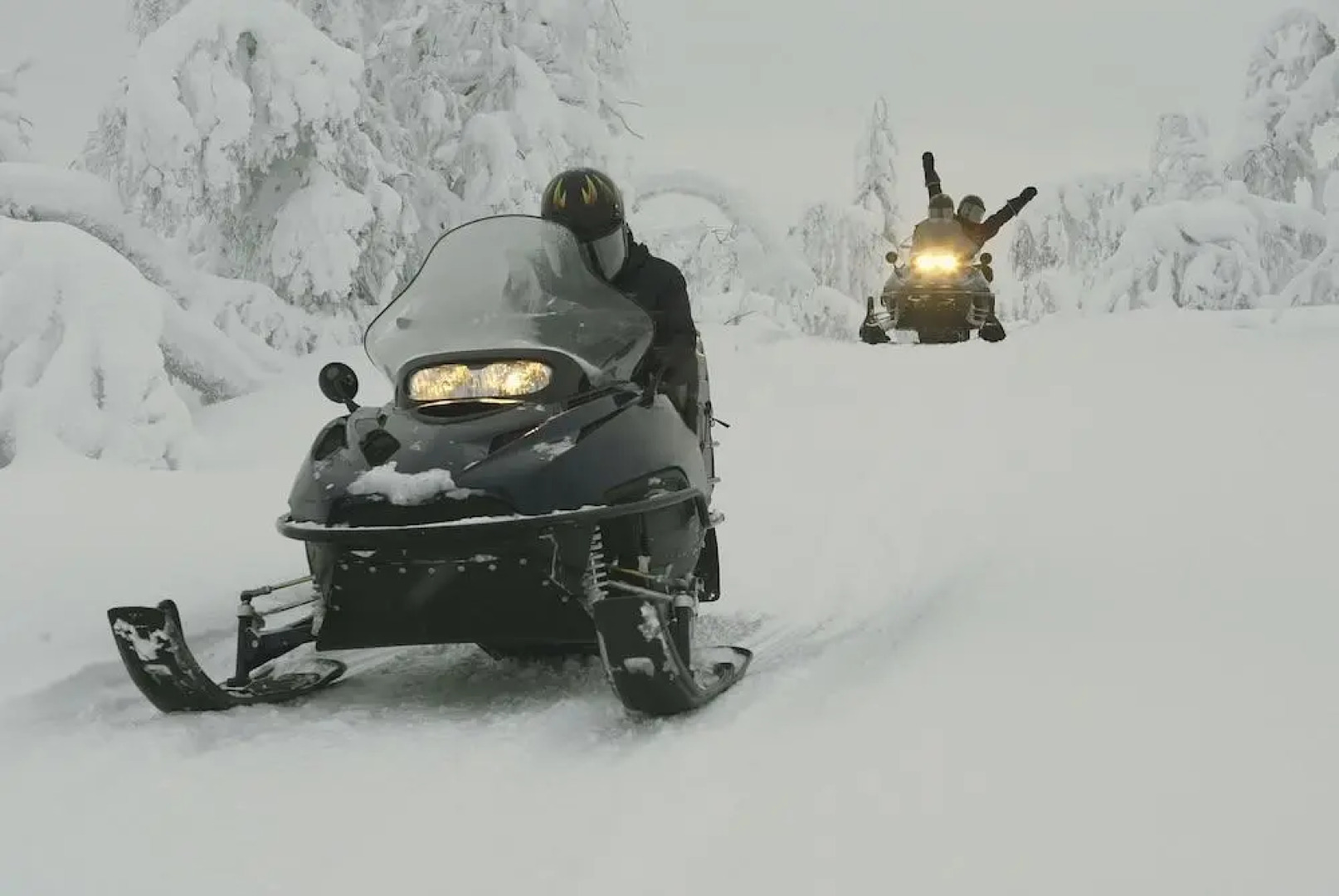 The Turpin Meadow Ranch