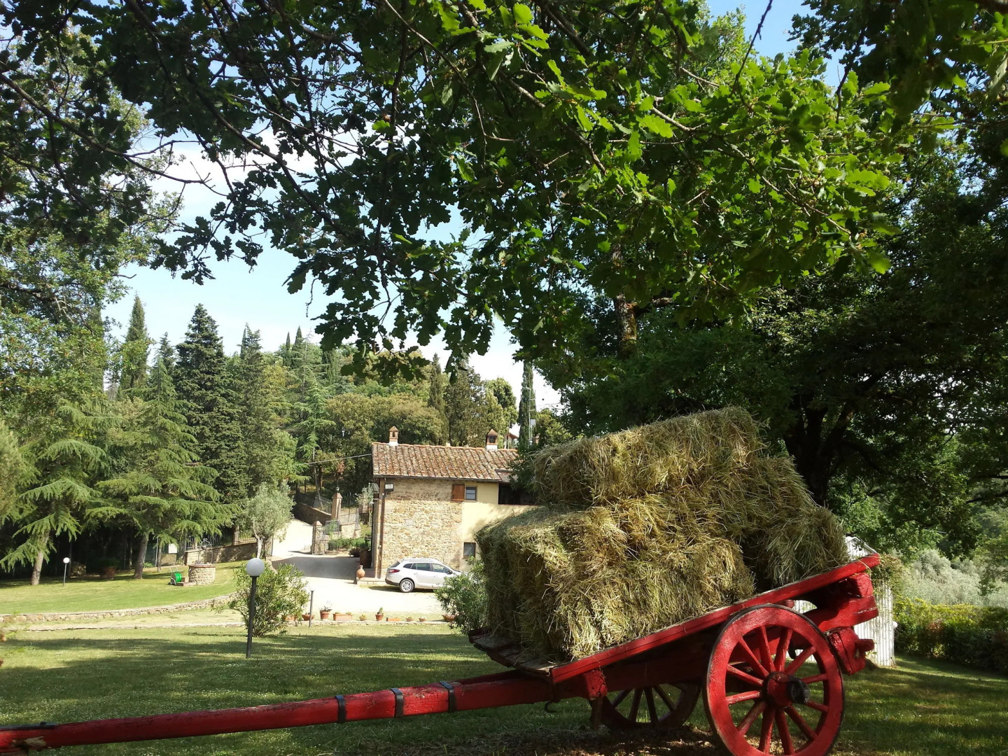 B&B Country House Poggio del Drago