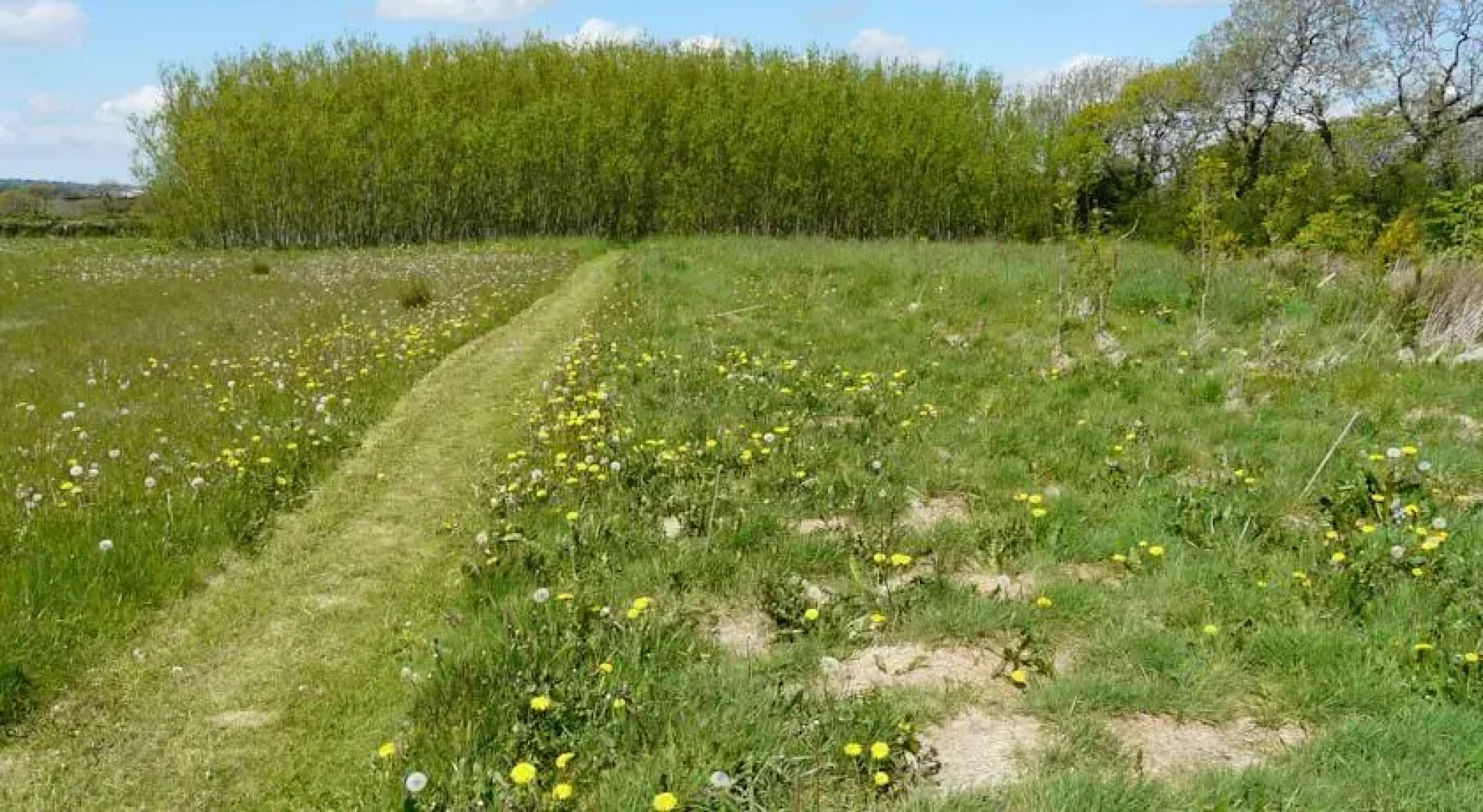 Lillimoor Farm Cottages