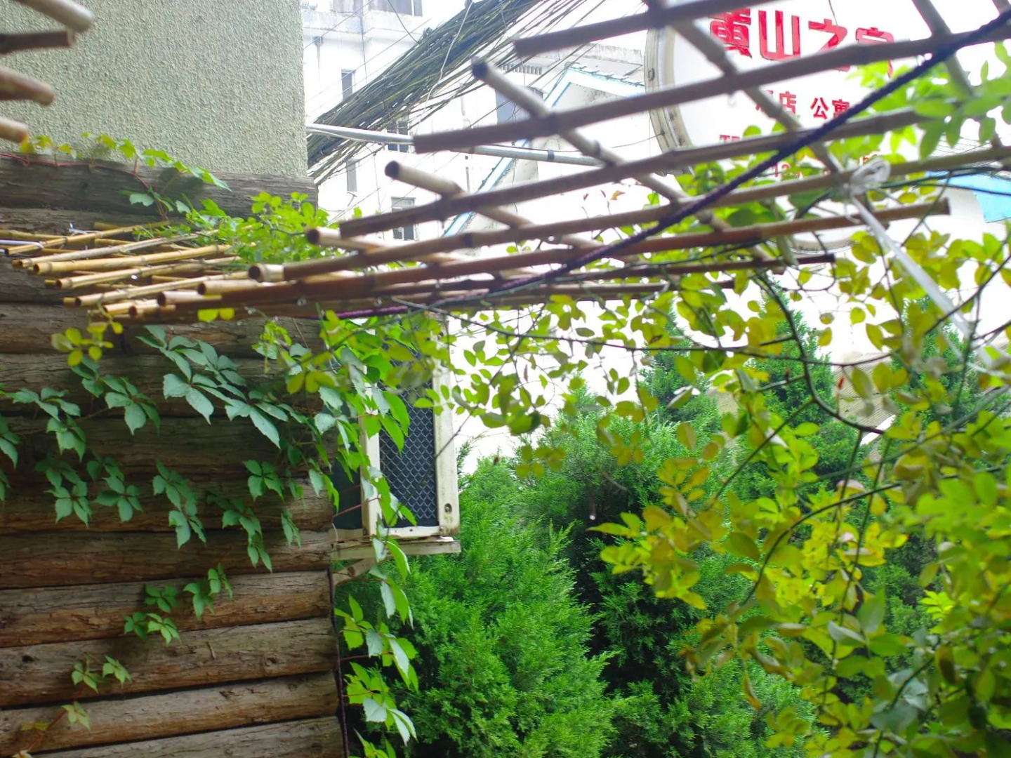 Home Of Huangshan Hostel