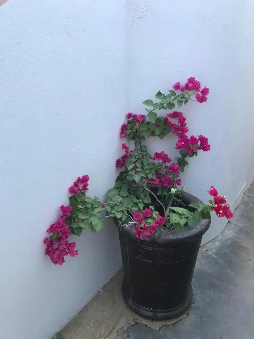 UrbanLife Keetmanshoop Accommodation