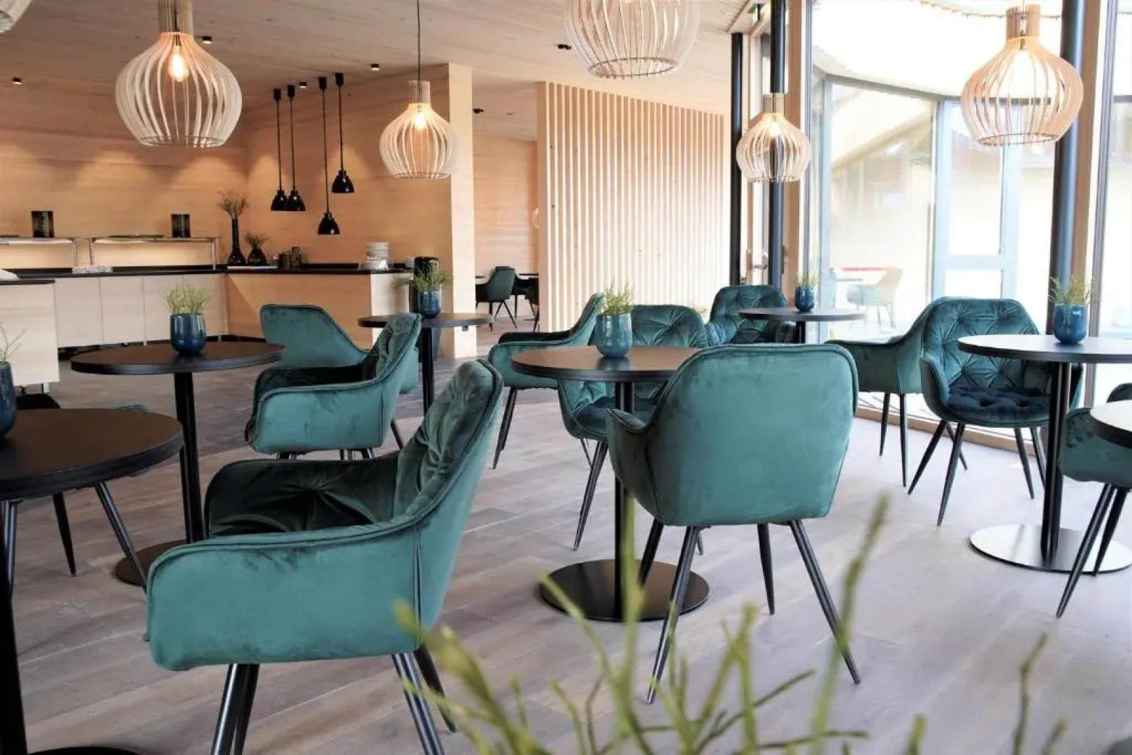 Torghele's Wald & Fluh