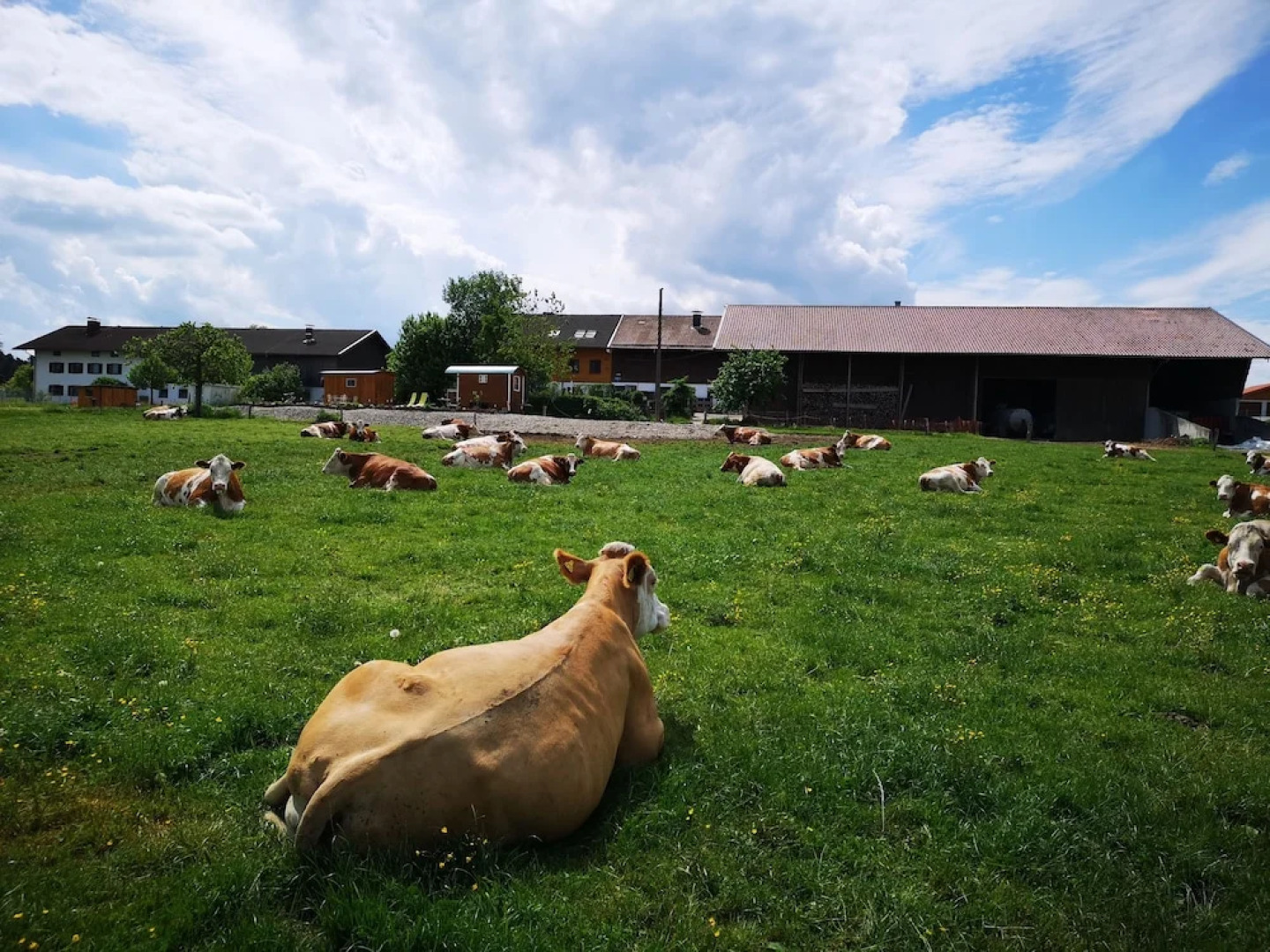Ferienparadies Reifnhof