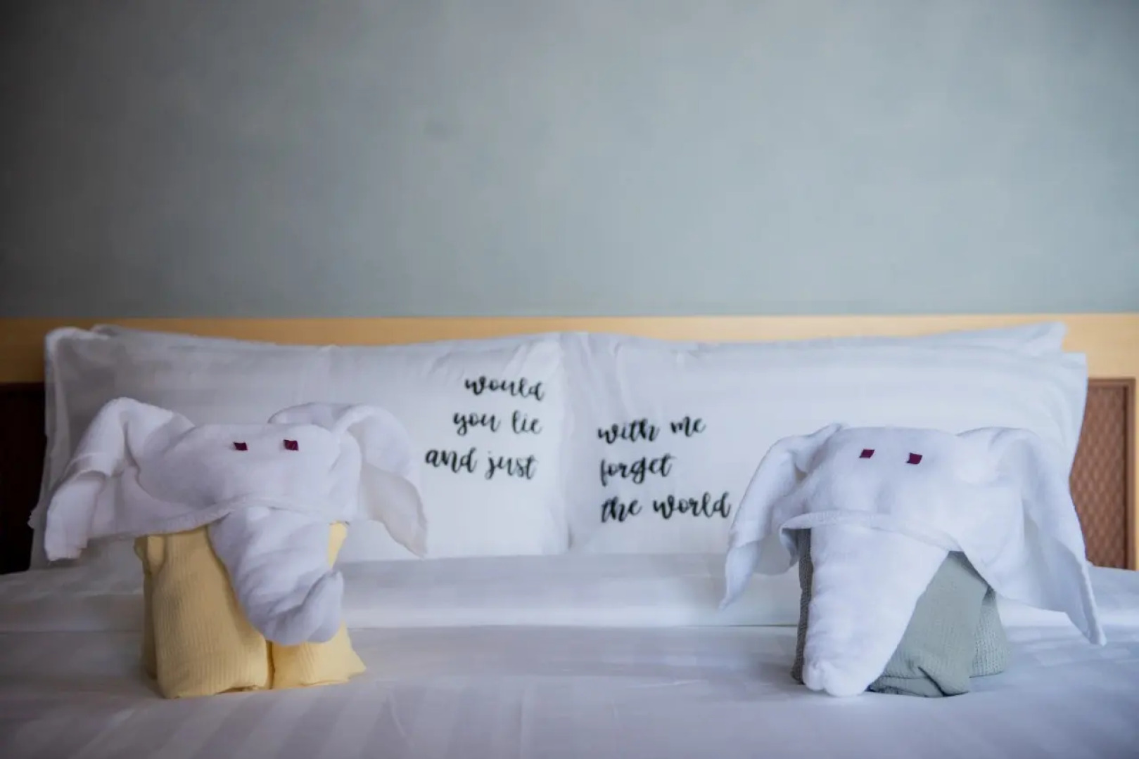 One Of A Kind Resort at Trikora Beach