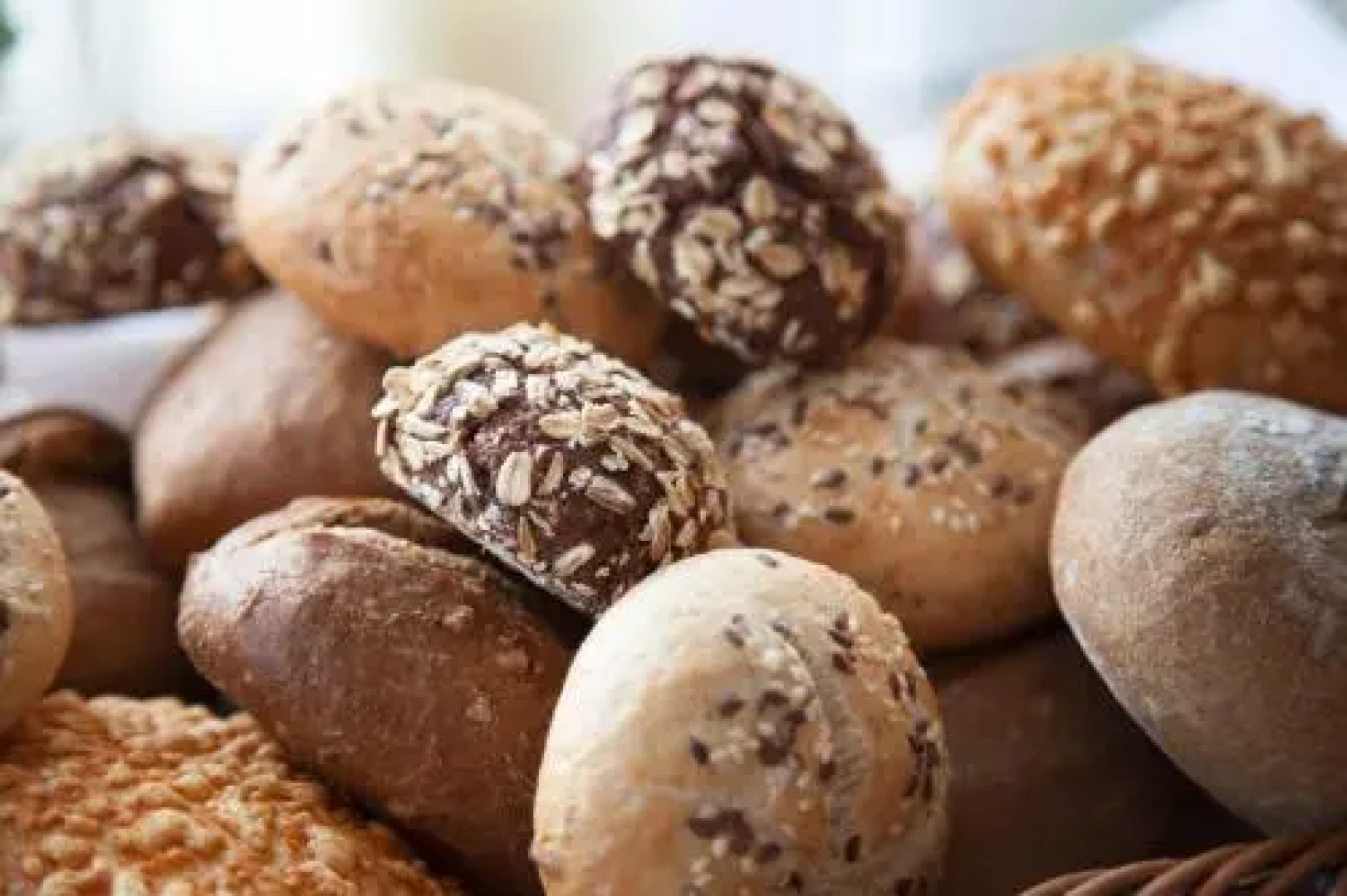 Hotel Aquarium, Ringhotel