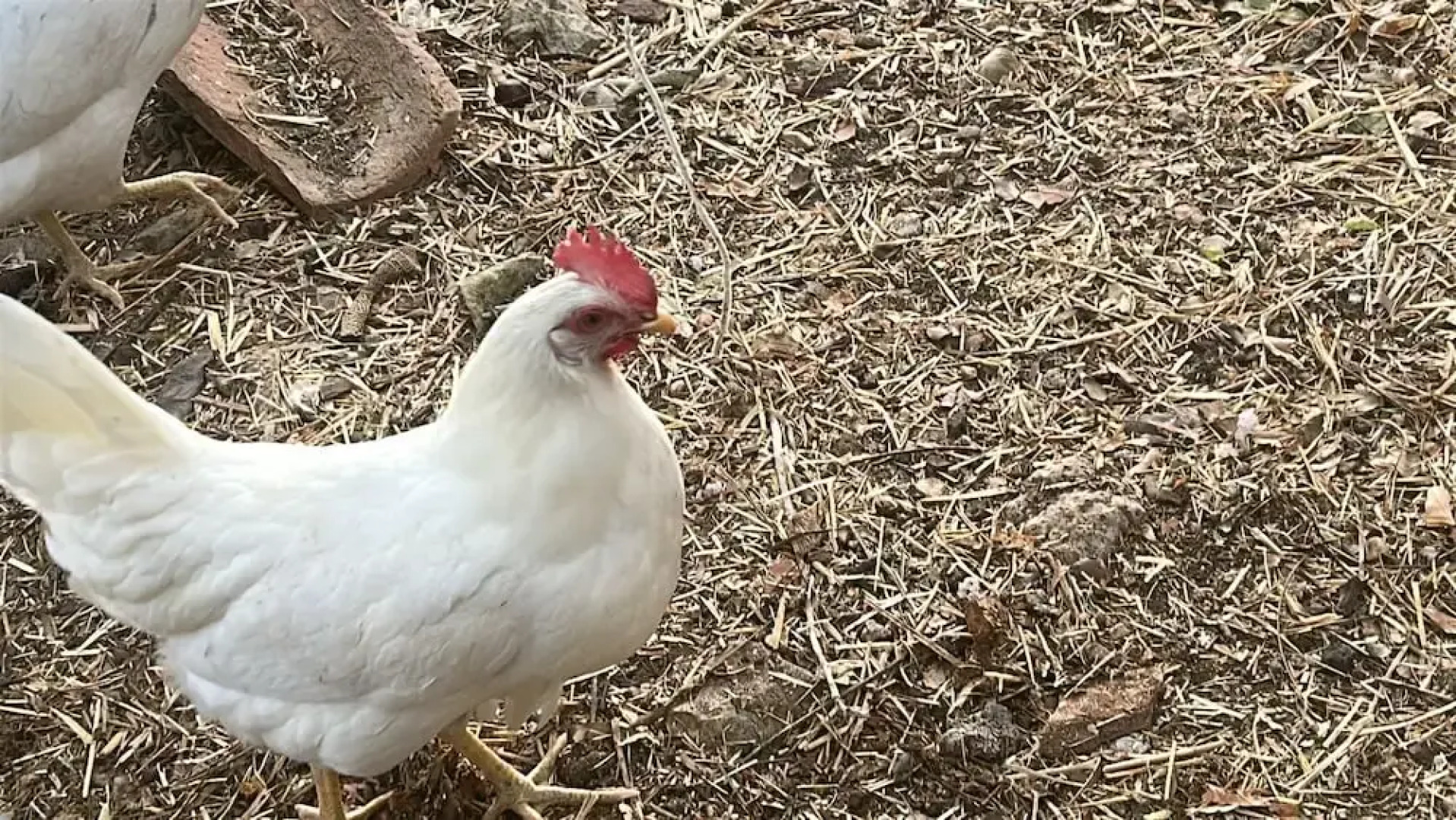 Hotel Rural Victoria by Bossh Hotels