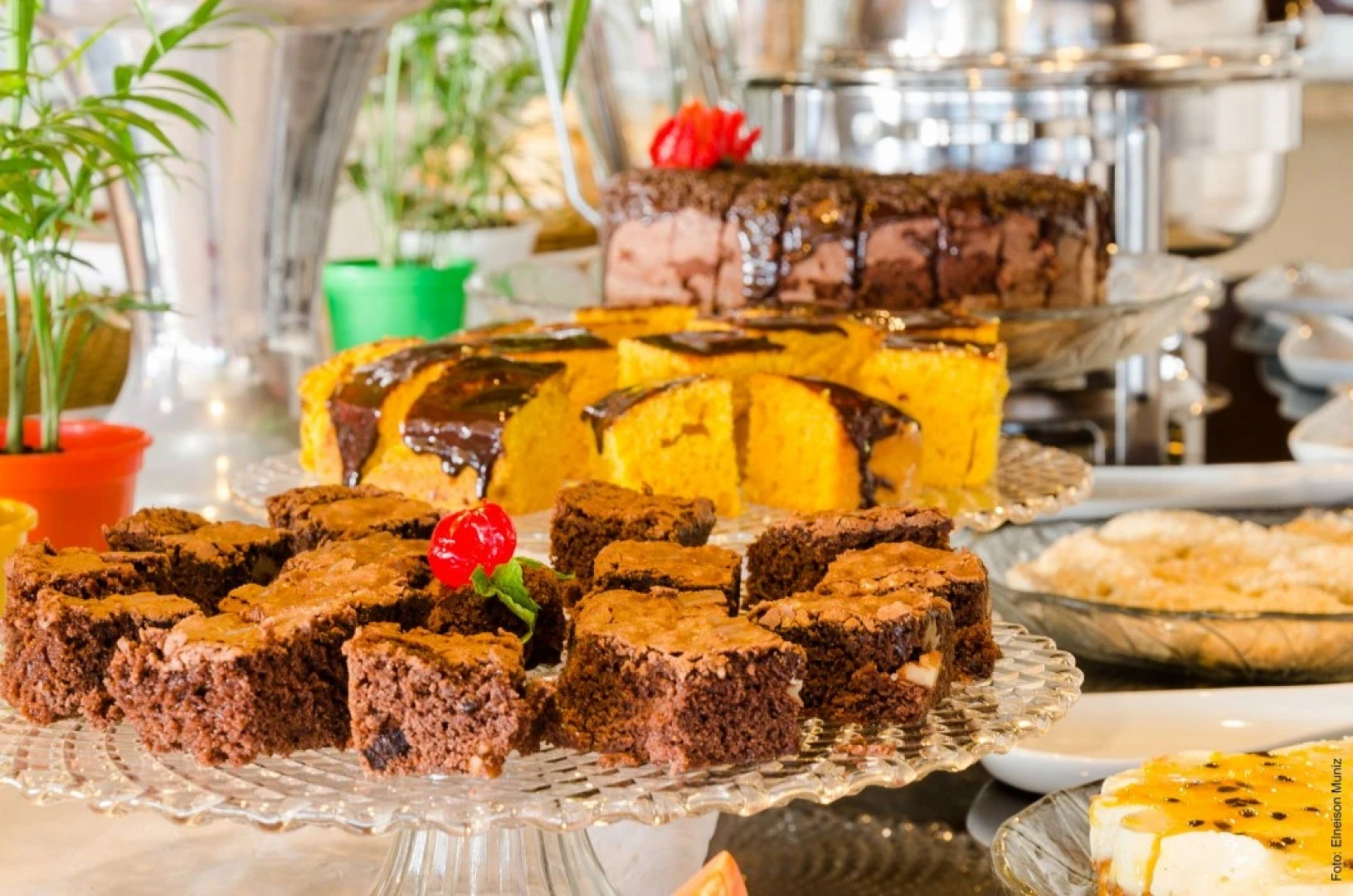 Paraíso Hostel Praia do Rosa