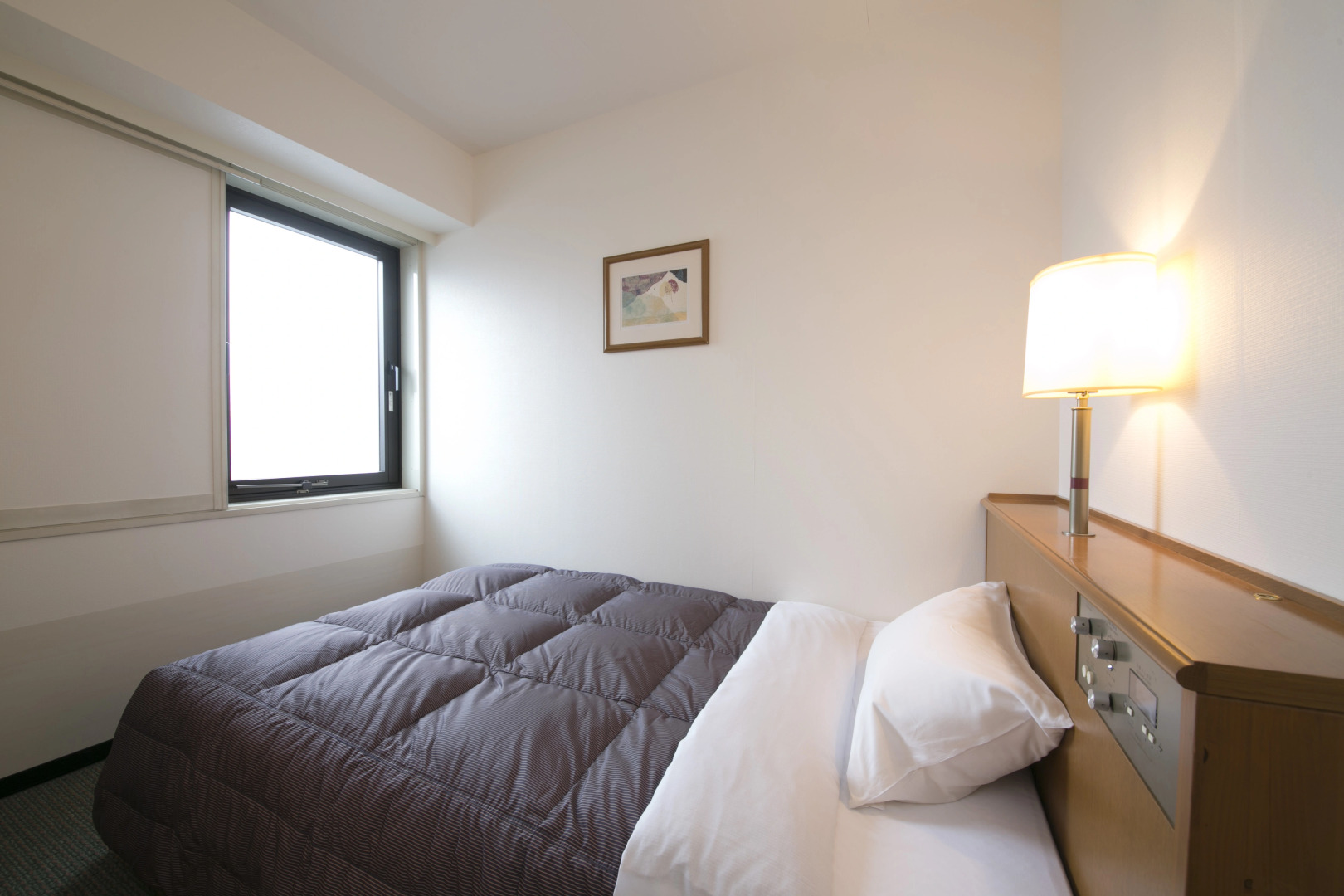 Nara Washington Hotel Plaza