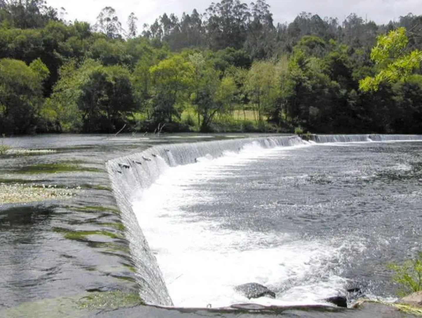 Albergue Pensión Flavia