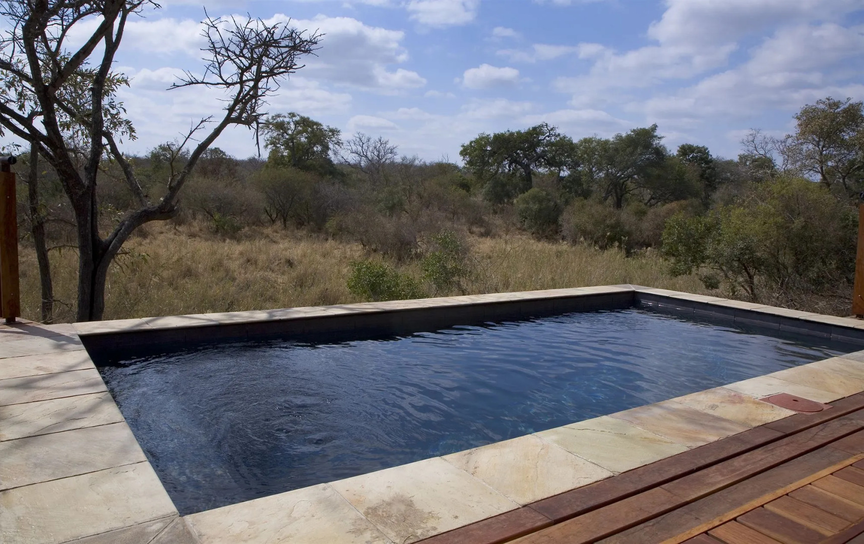 The River Lodge At Thornybush