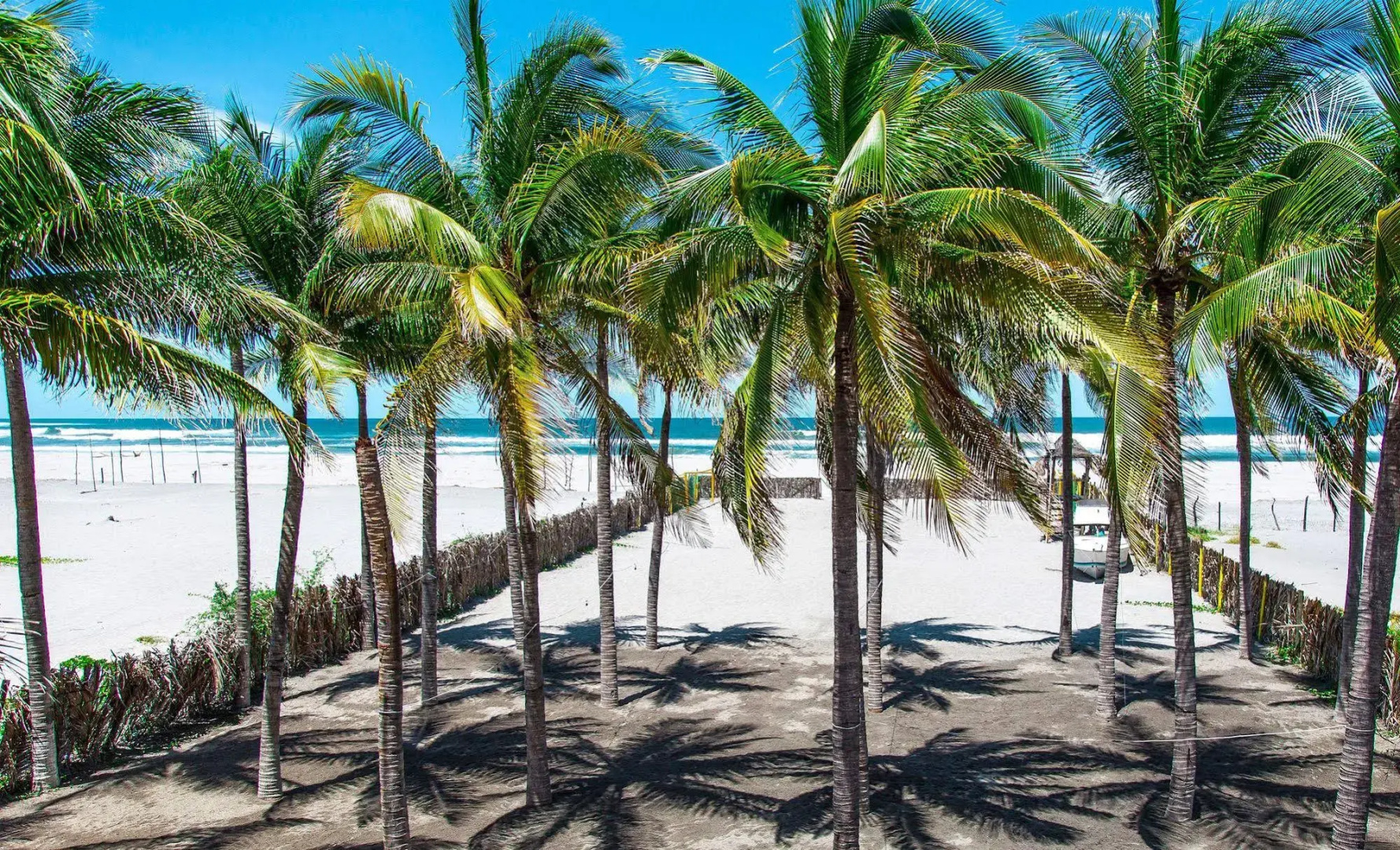 Hotel Bahia Del Sol