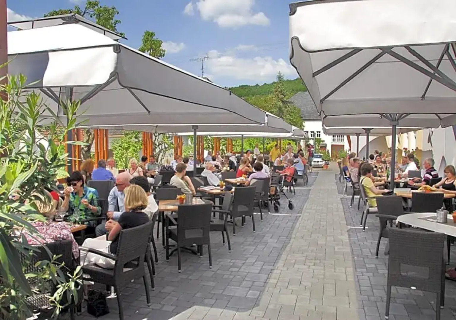 Weingut und Gästehaus Apel