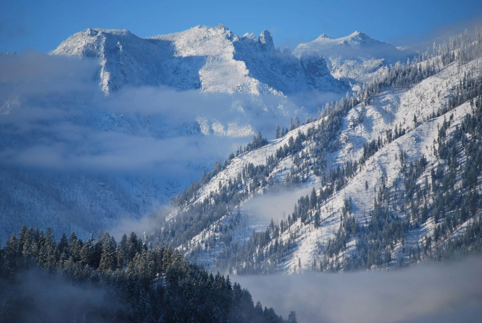 Cashmere Mountain Bed & Breakfast