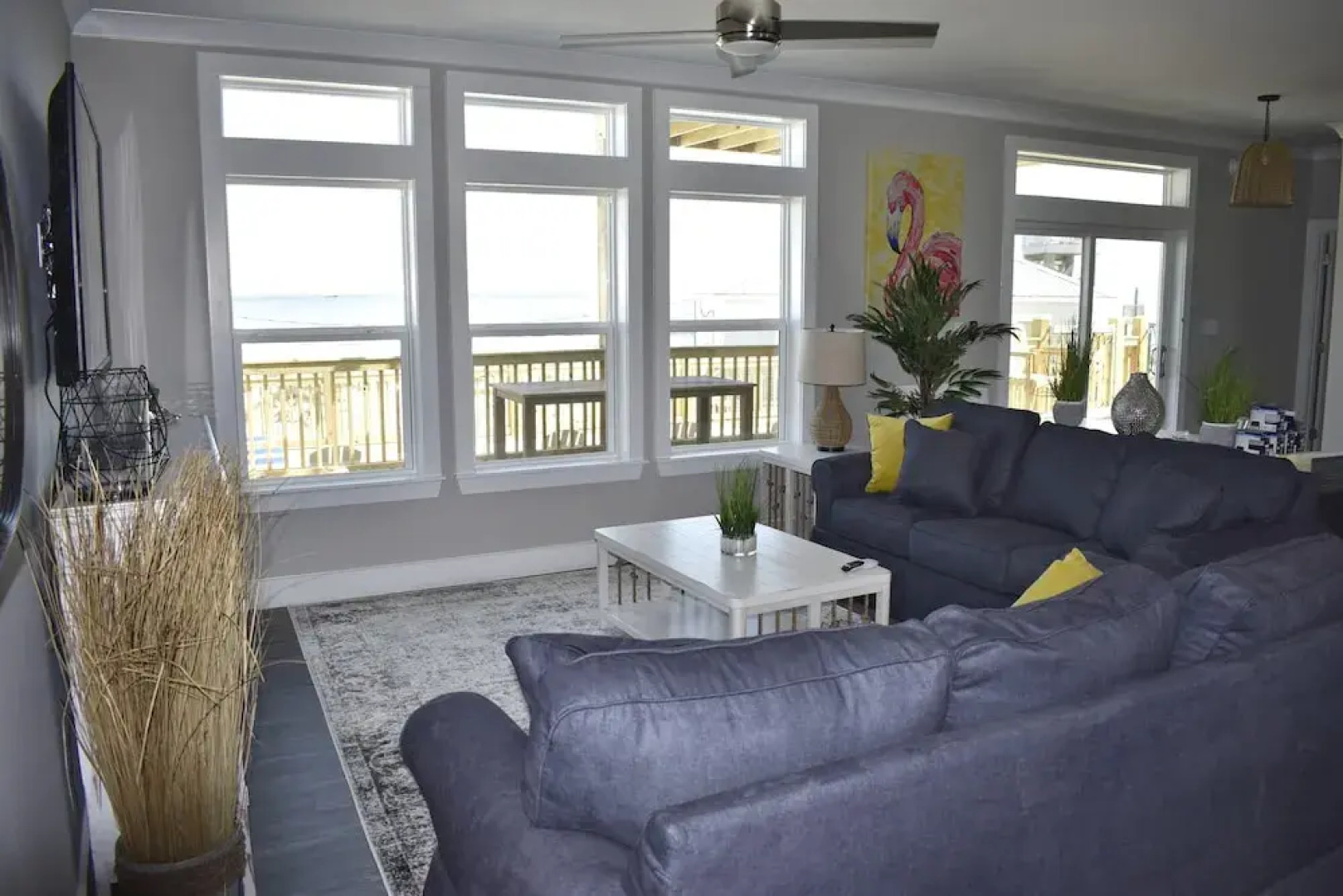 Sonny Daze - 105 Quebec Ct