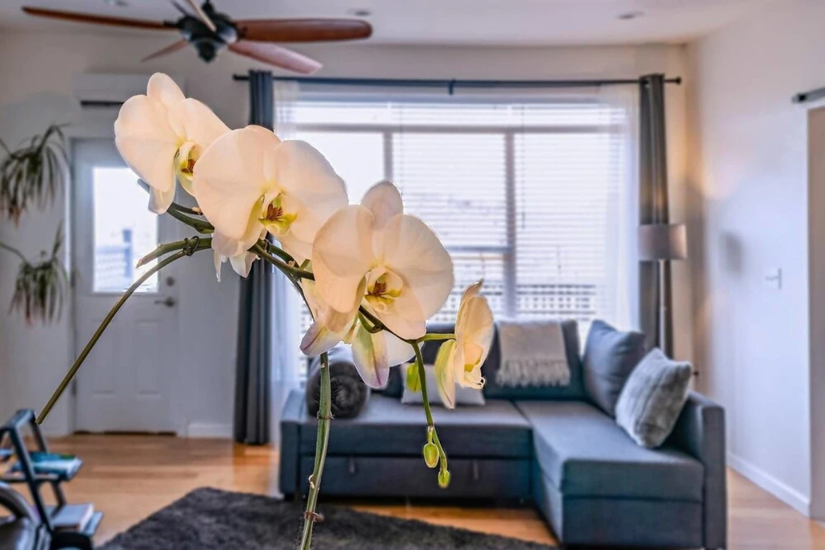 Dream Cottage at Paschal Winery