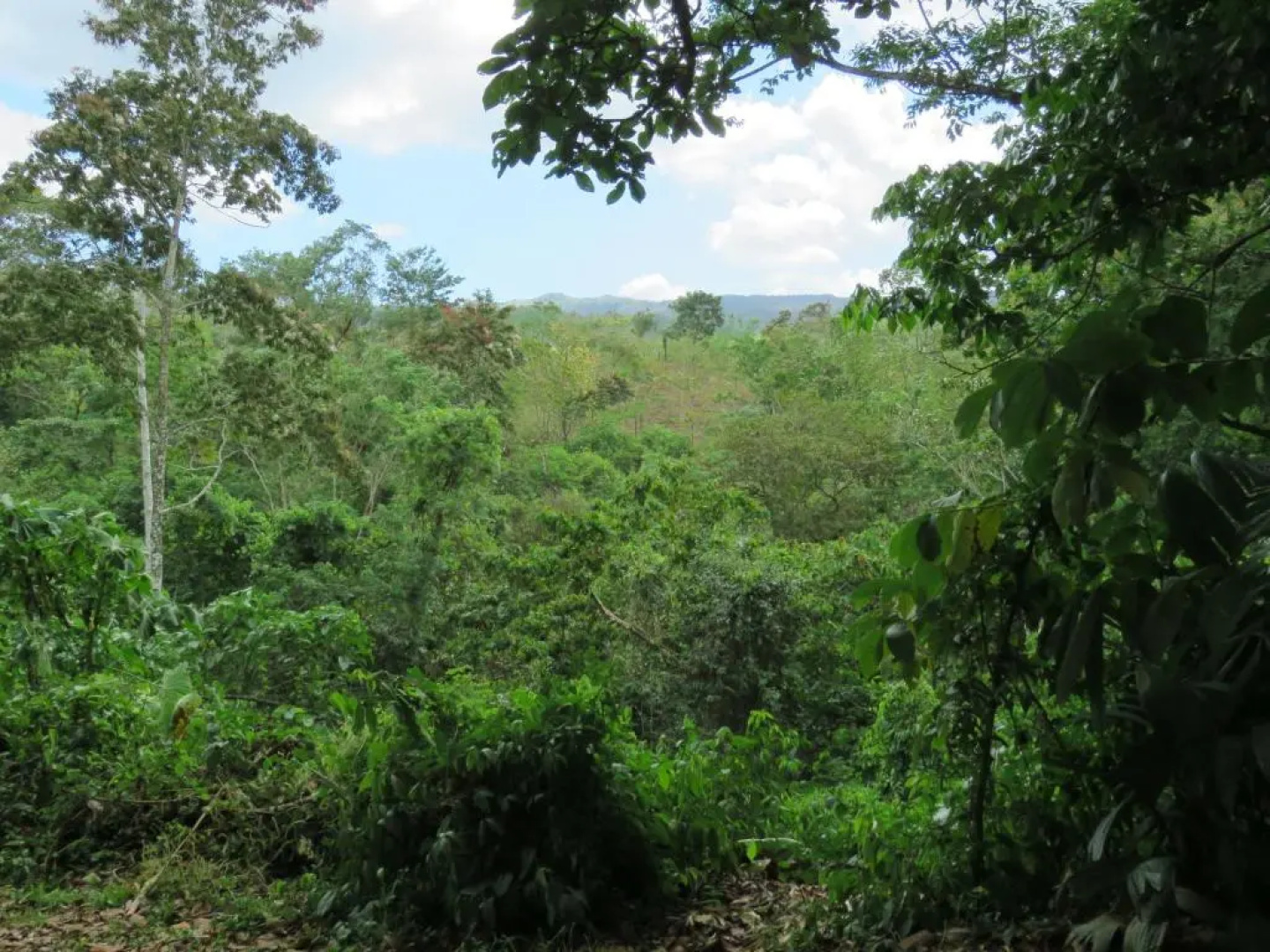 Vocaré Agroecoturismo