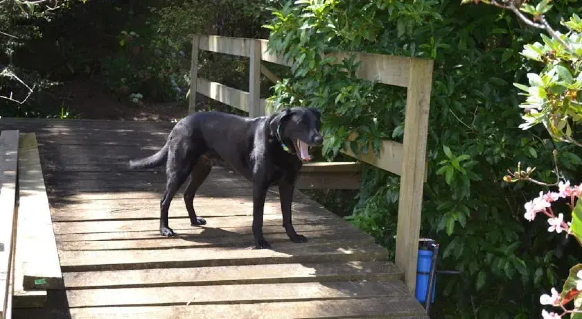 Birdsnest Holiday Home
