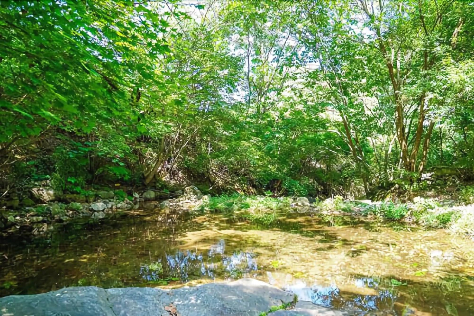 Yangpyeong Vivaldi Pension