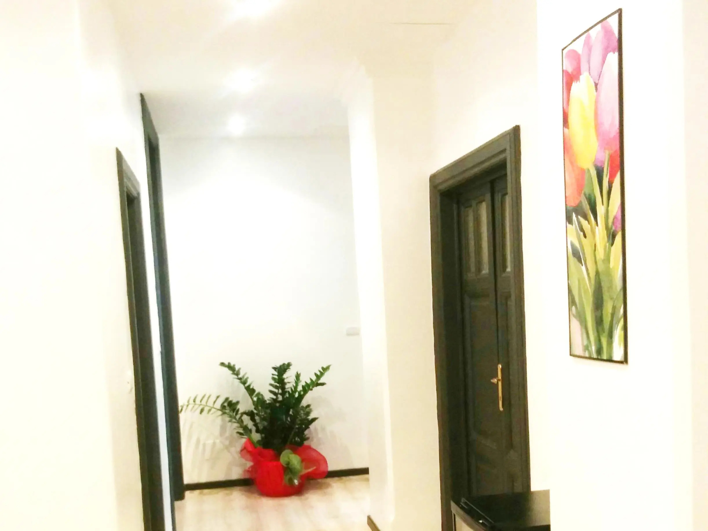 Ad Hoc Guesthouse