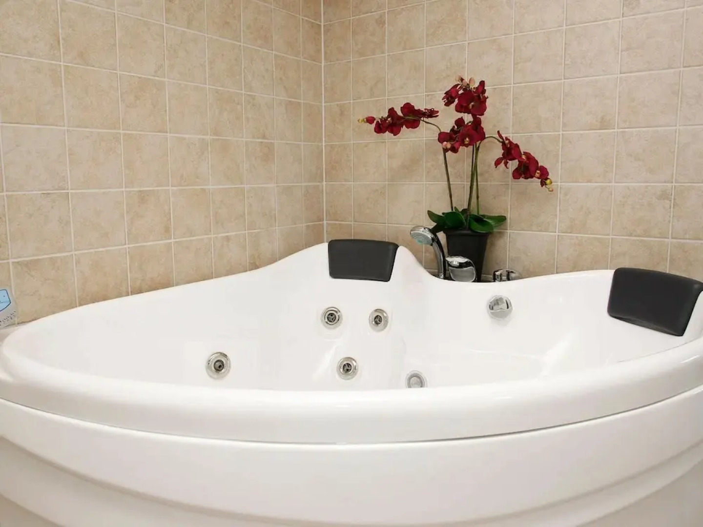 8 Person Holiday Home in Albaek