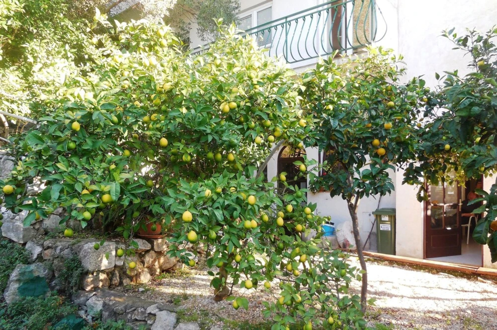 Apartments Maslina