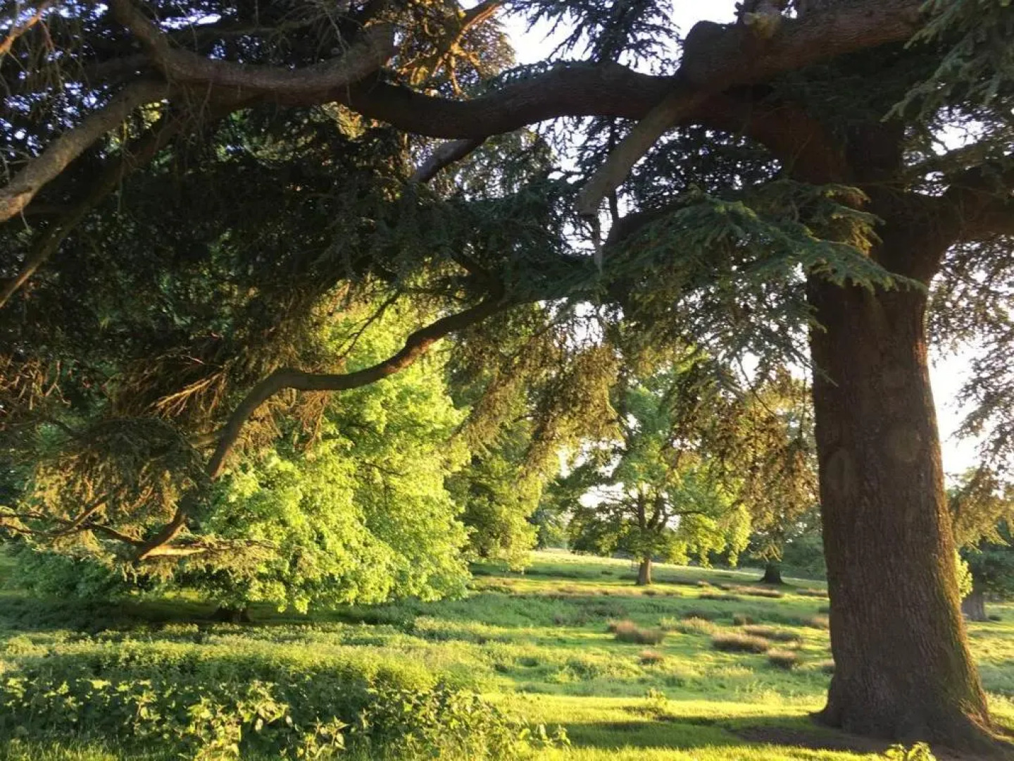 Cosy, historic, pet friendly cottage, Petworth