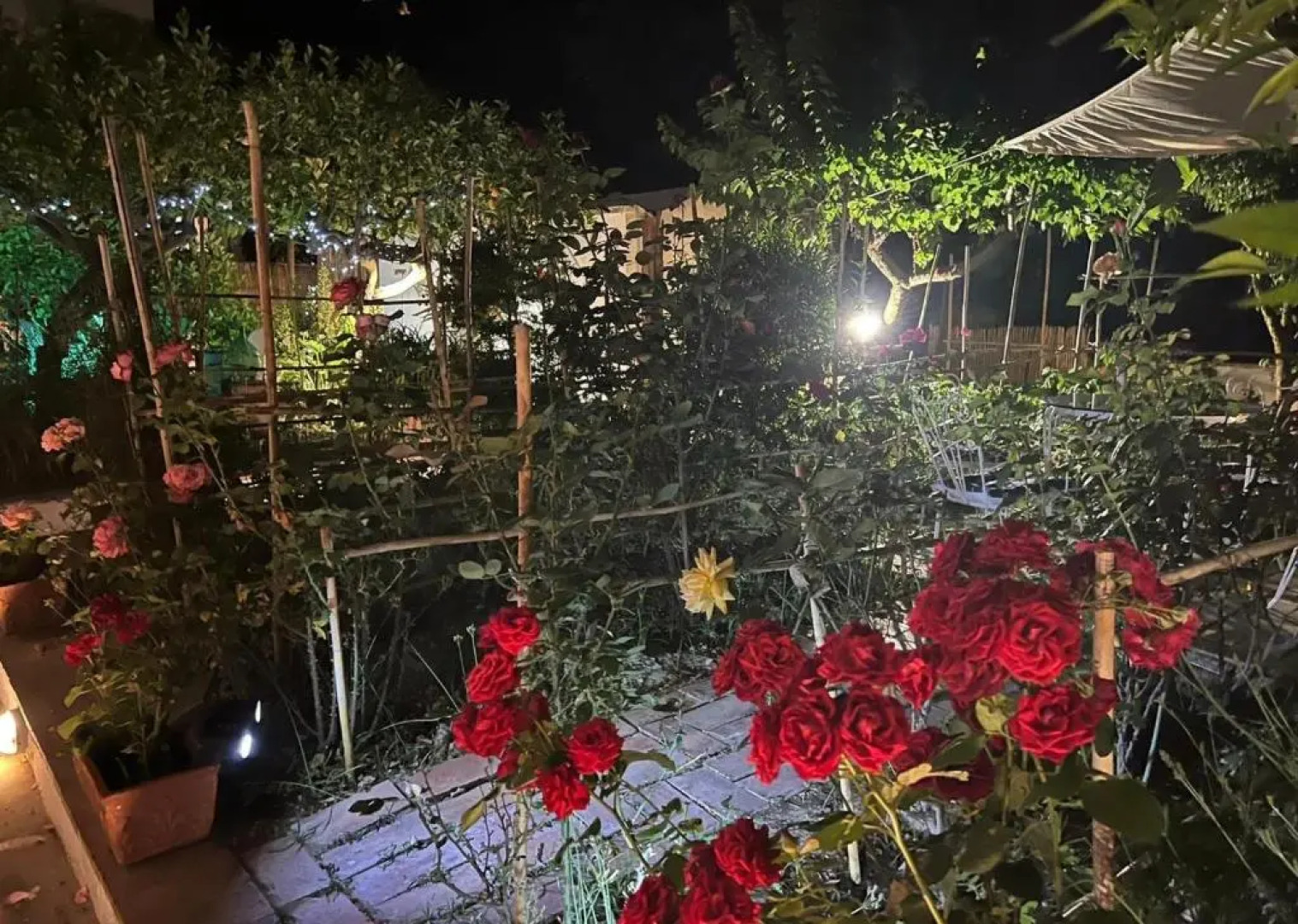 Villa Striano Capri - Guest House - Rooms Garden & Art