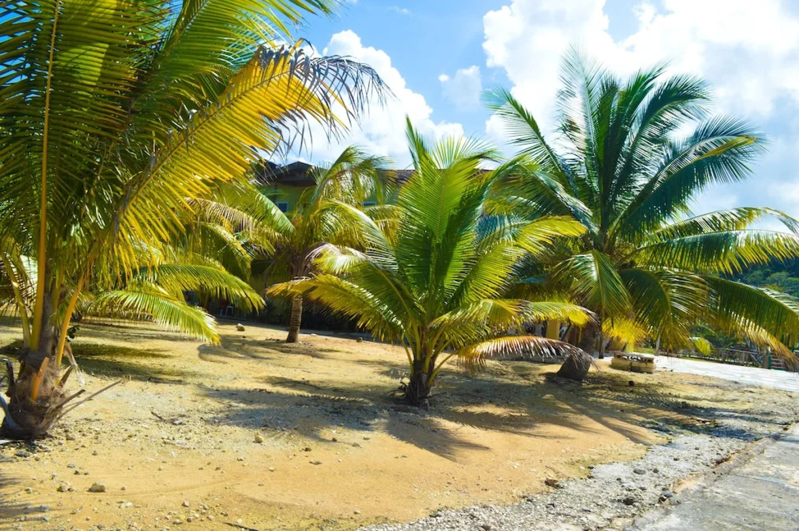 Le Mer Ocean Front Villas
